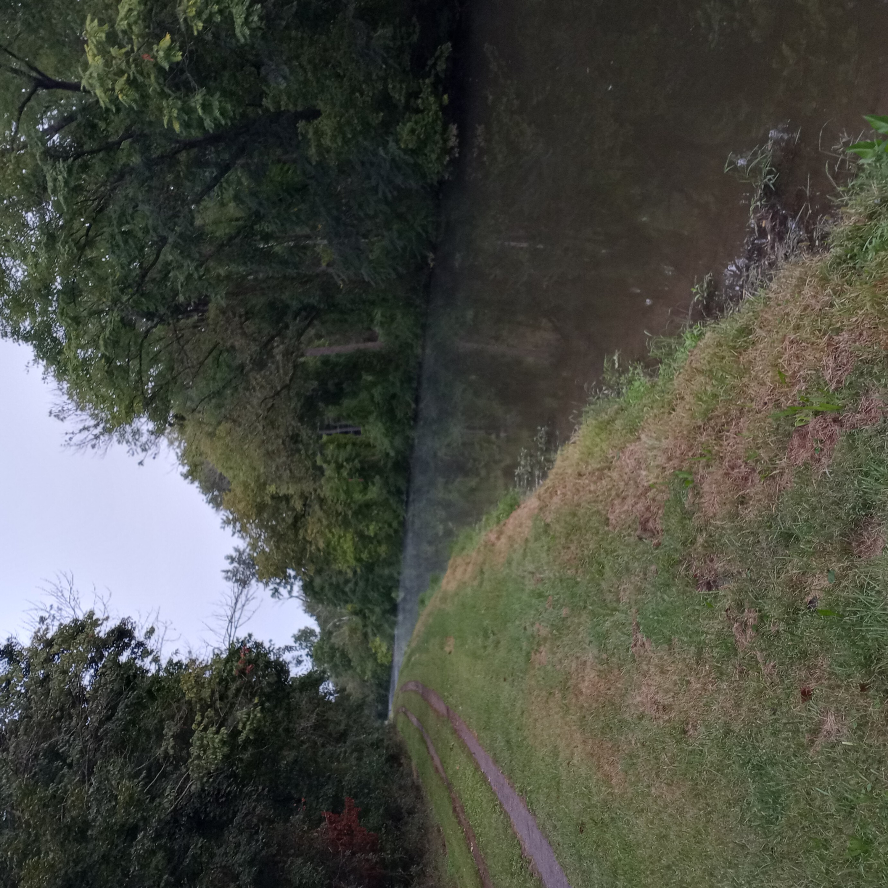 stream of random