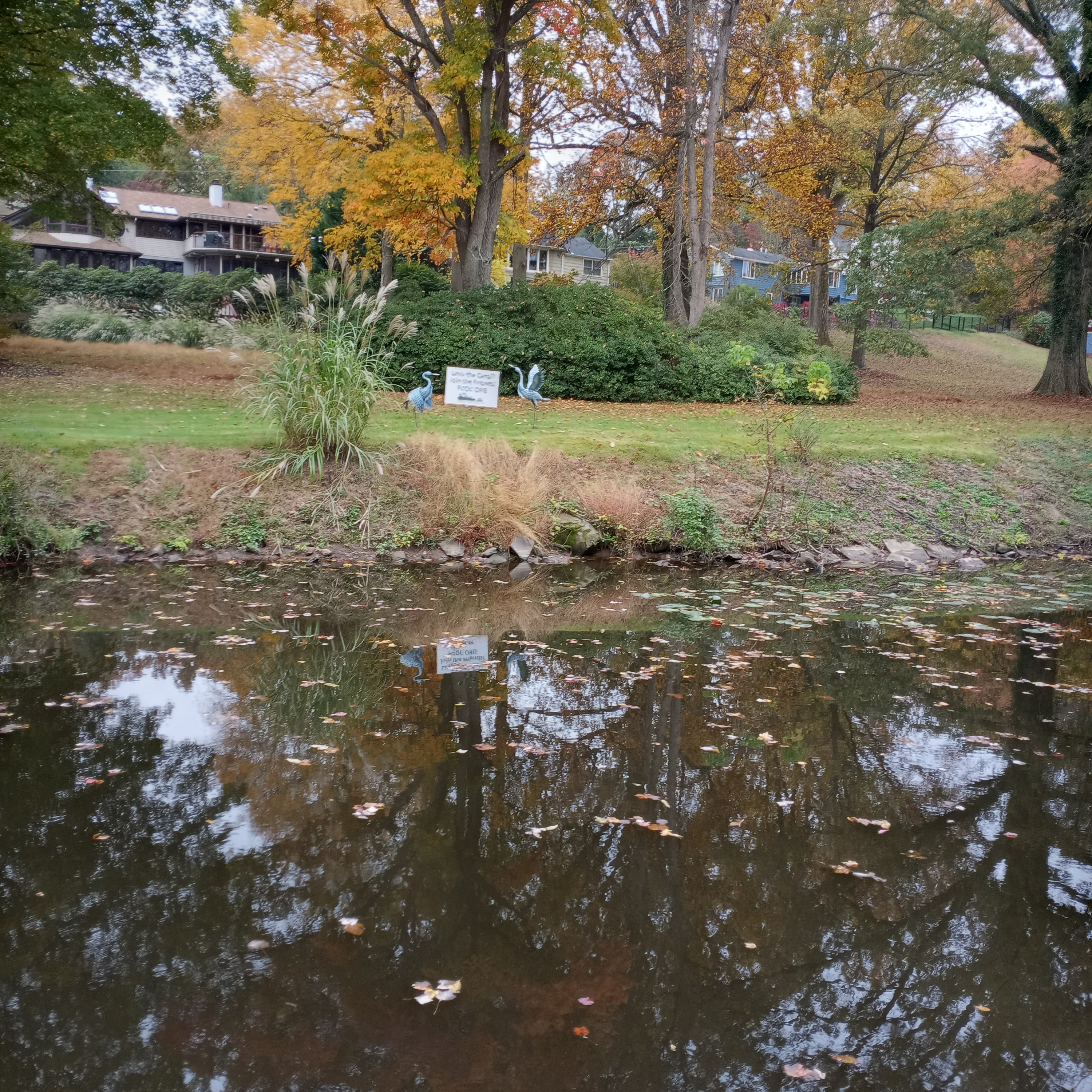 stream of random