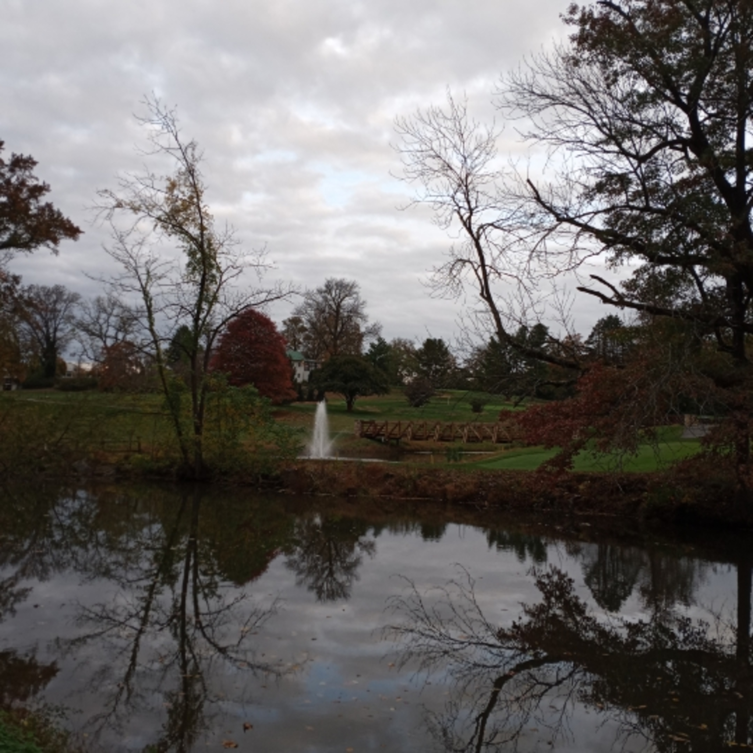 stream of random