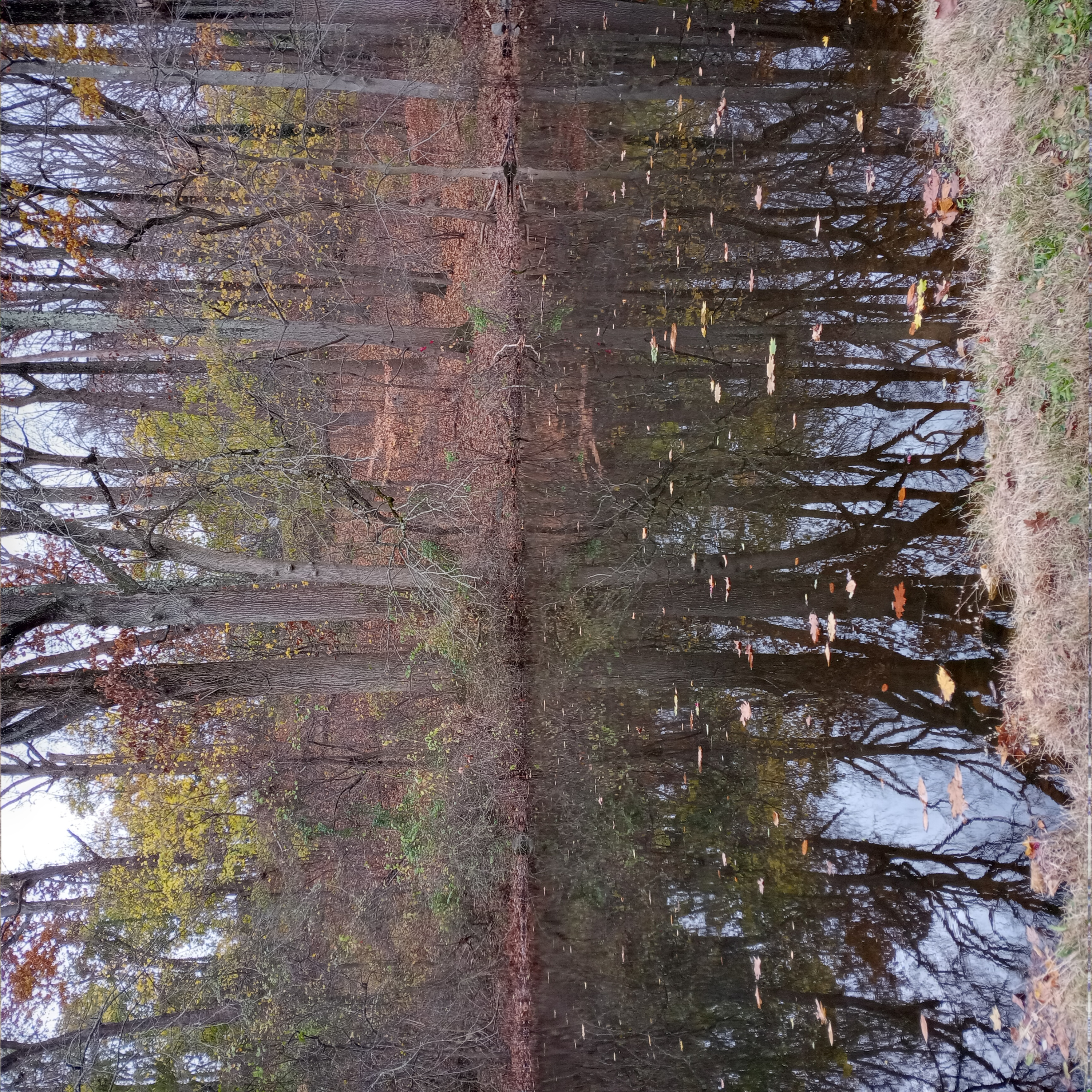 stream of random