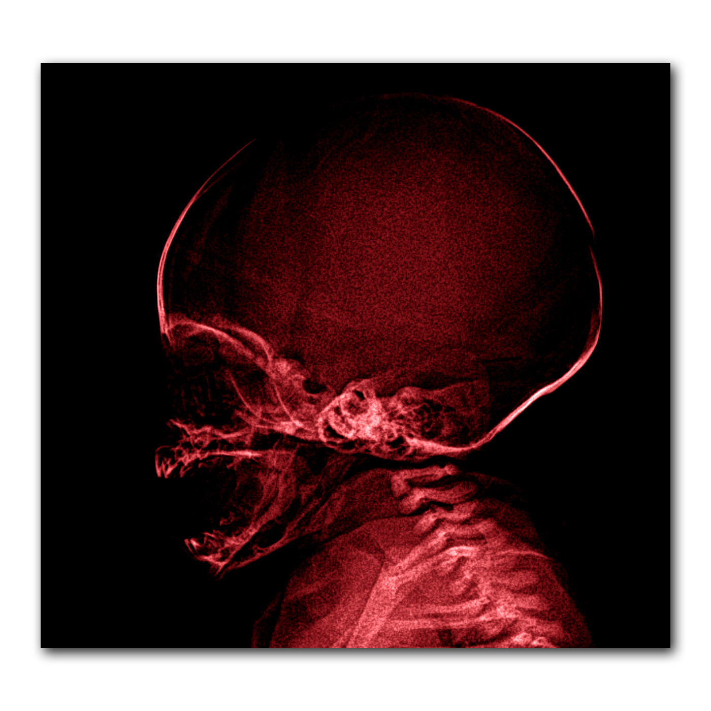 Audio Player Image