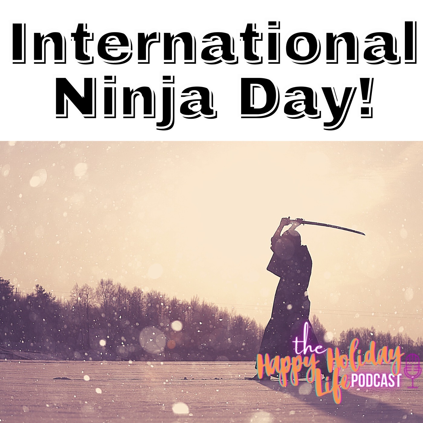 Episode #037 International Ninja Day Image
