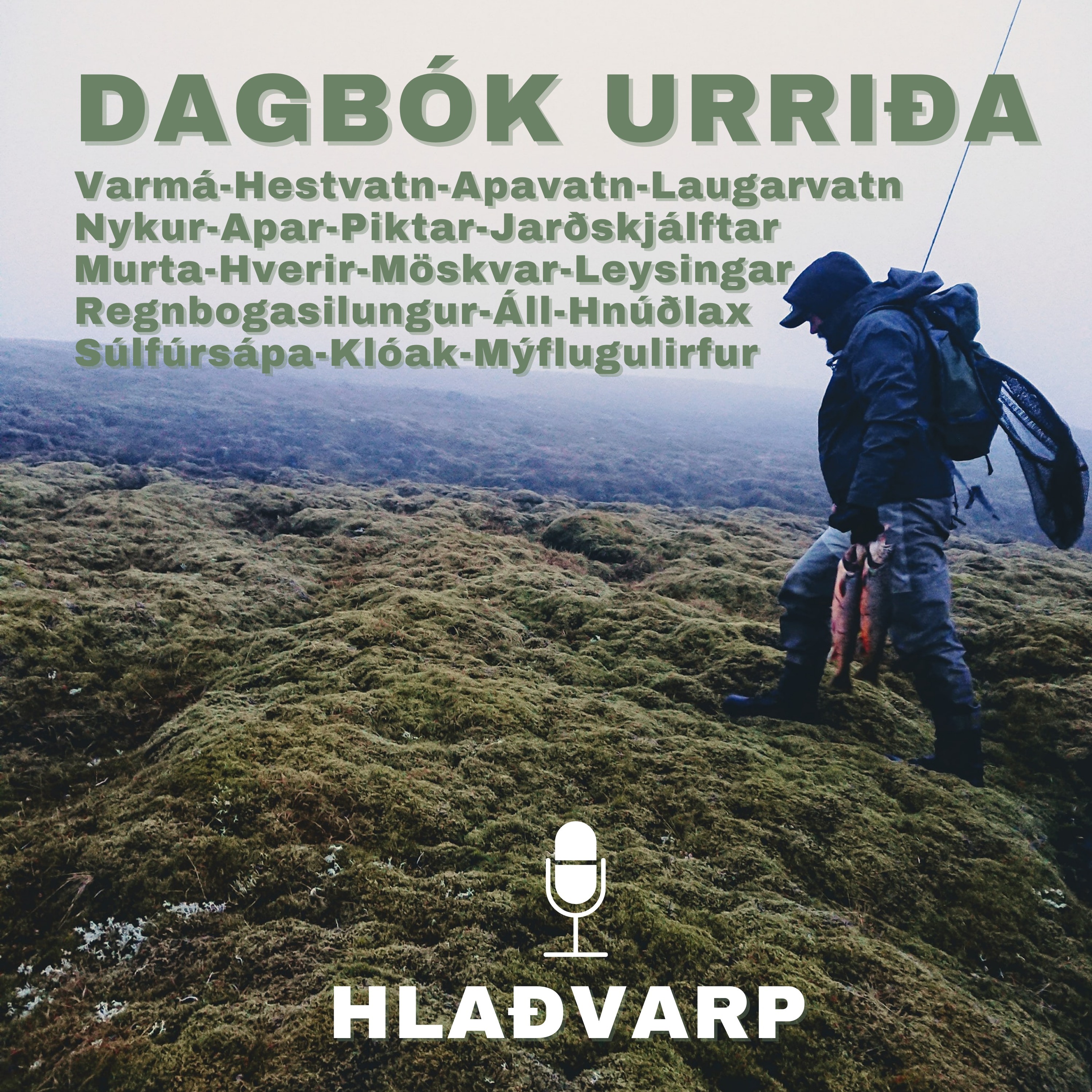 Dagbók Urriða