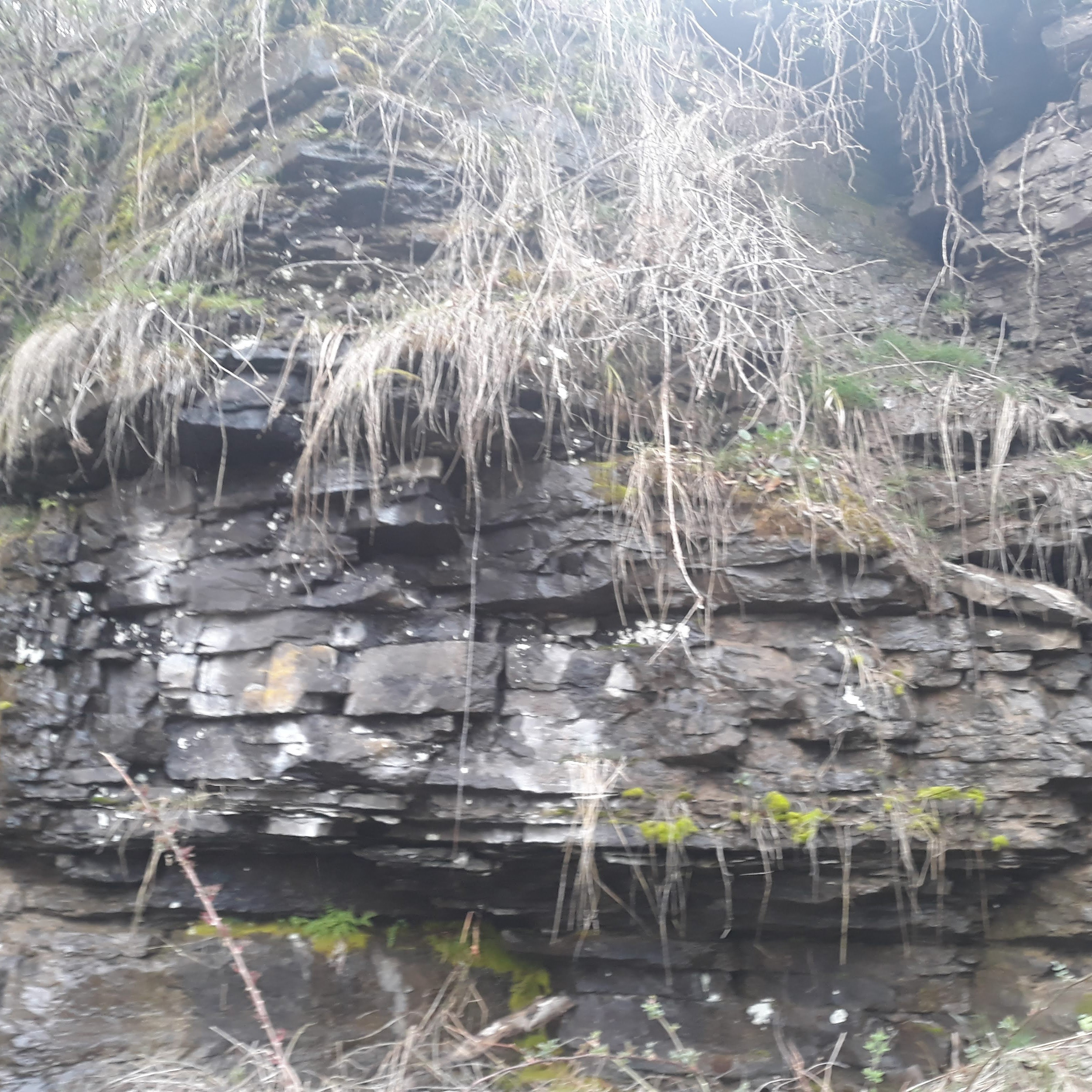 stream of random