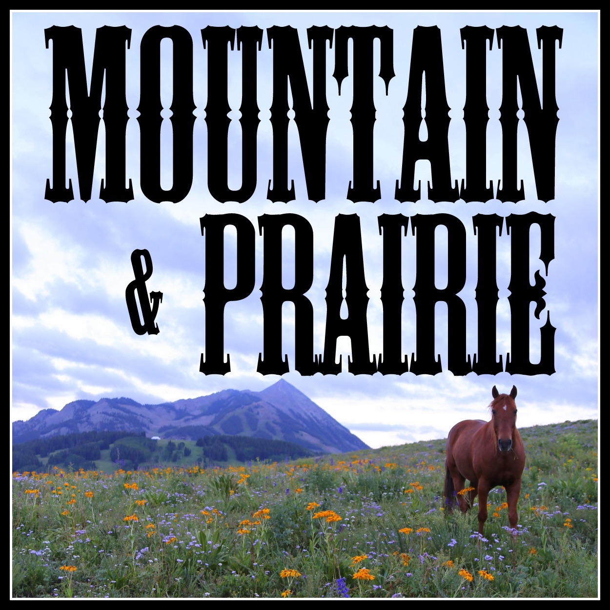 Ann Johnston - Protecting Crested Butte's Spectacular Landscapes episode artwork