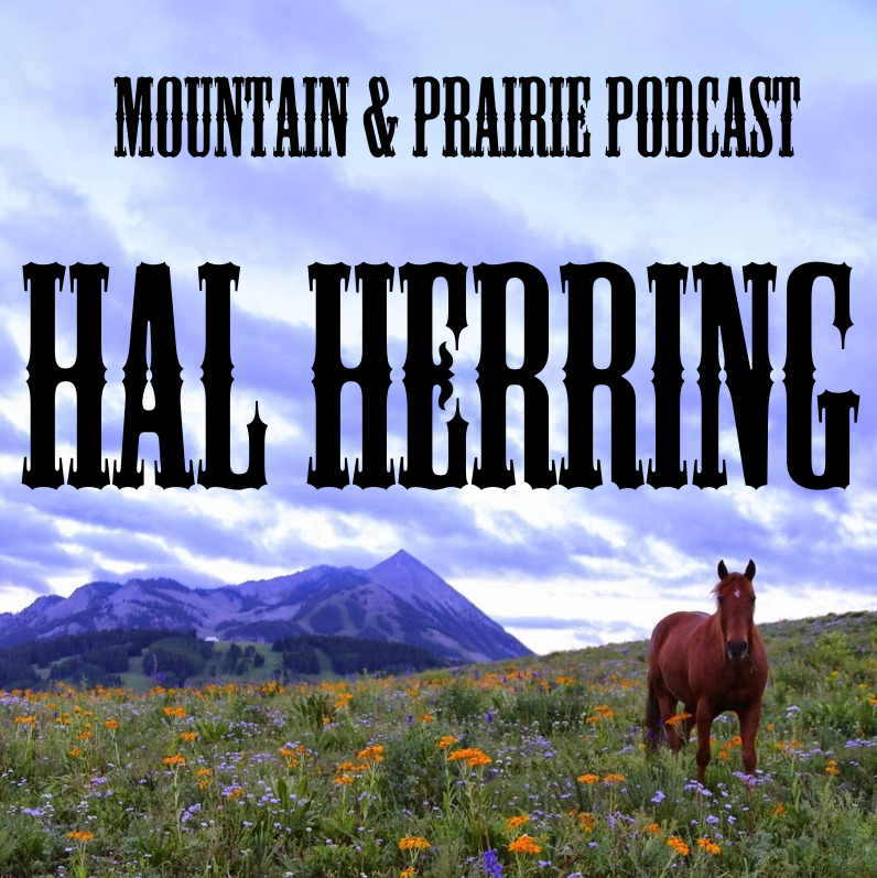 Hal Herring - A Man of Words & Wild Places episode artwork