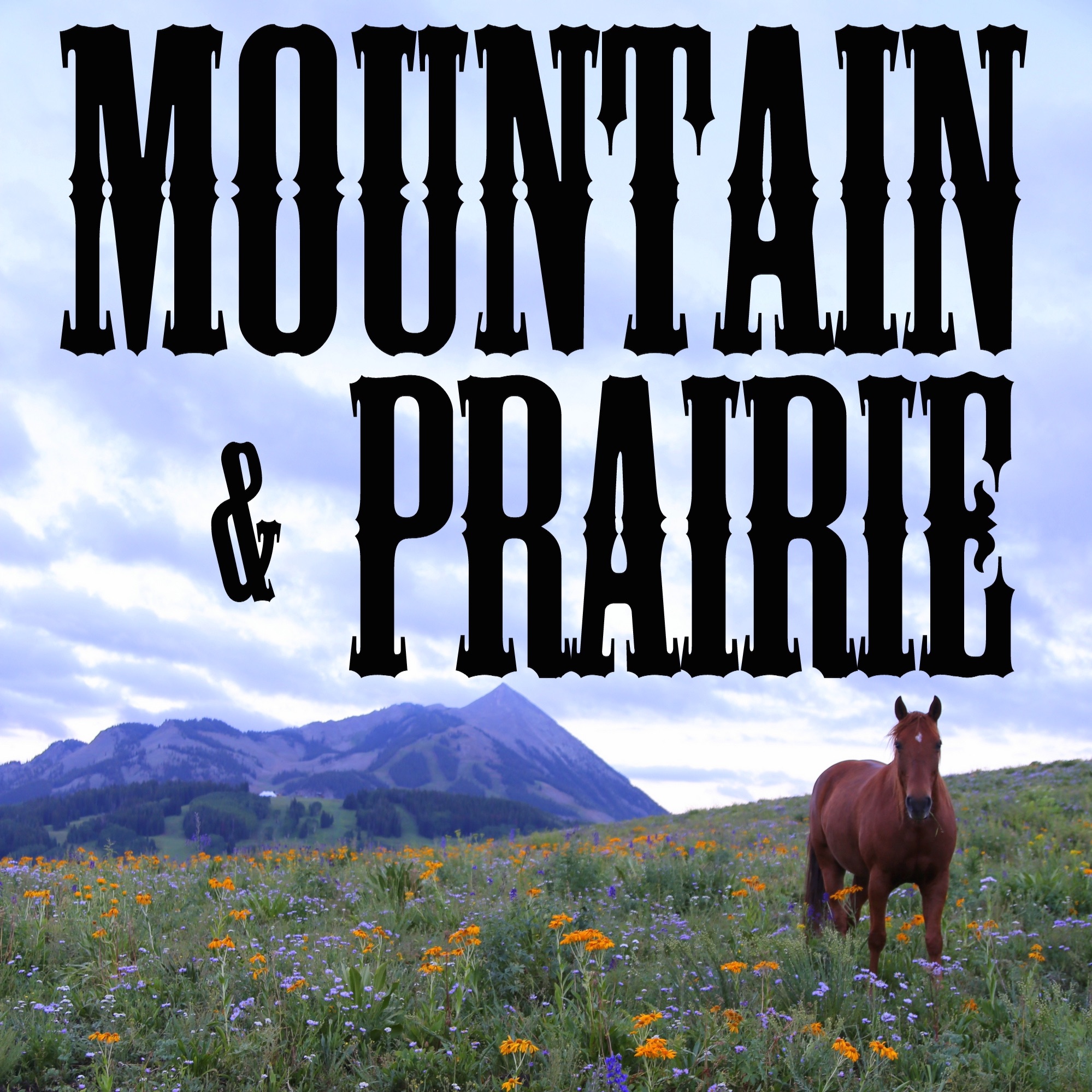 Erik Glenn - Saving Colorado One Ranch at a Time episode artwork