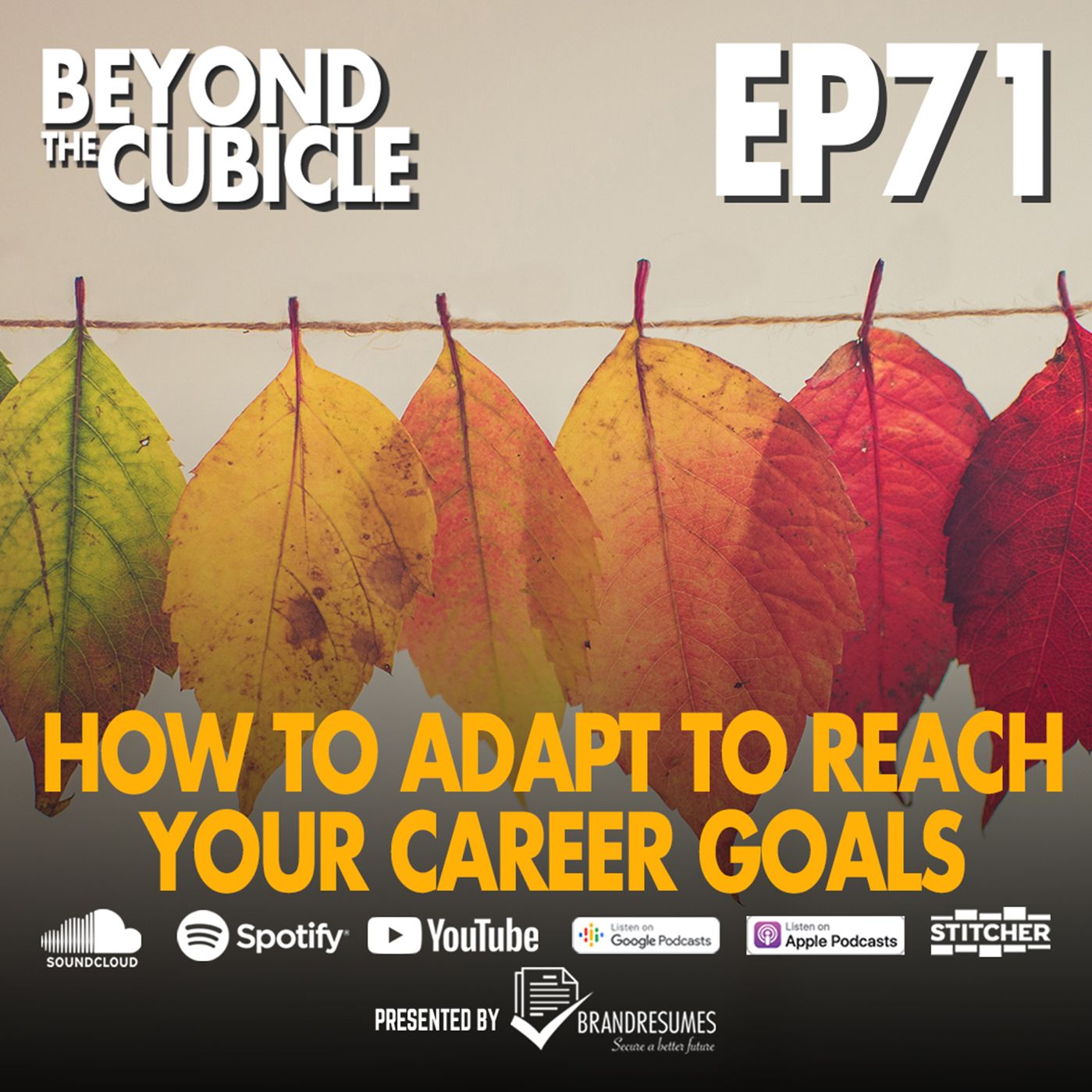 Ep 71 | How To Adapt To Reach Your Career Goals