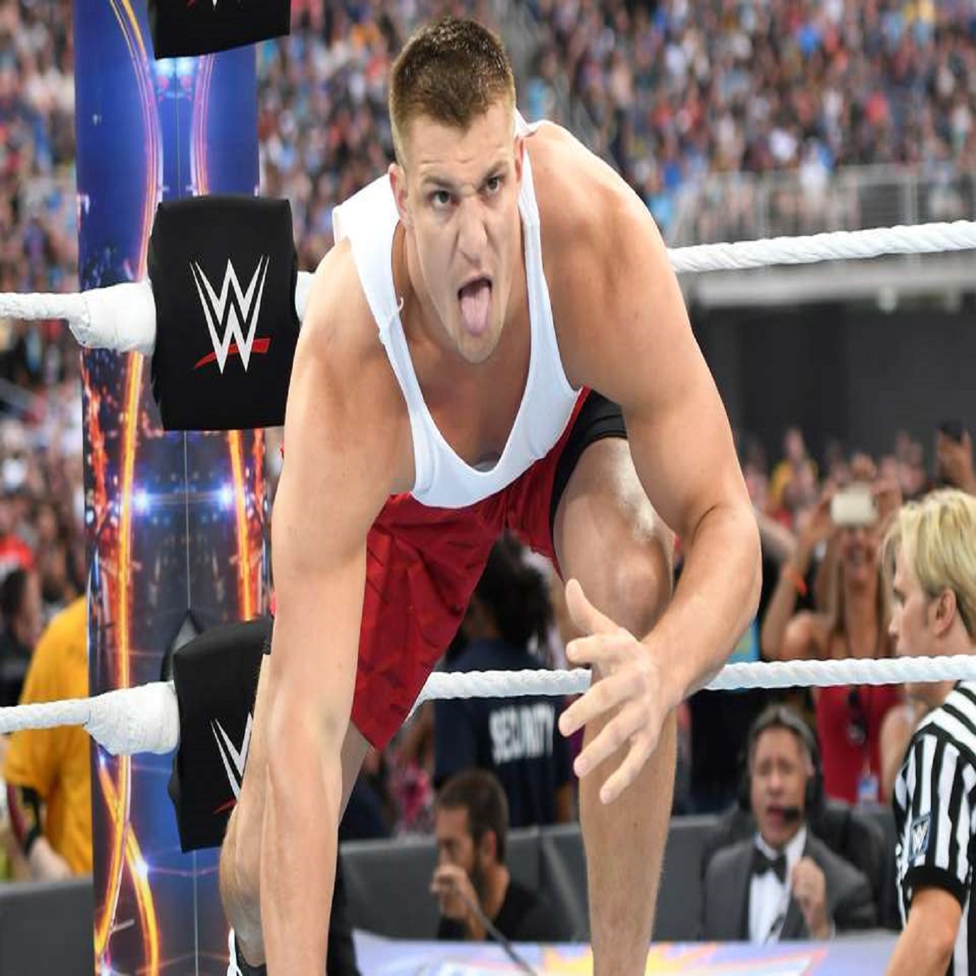 Wrestling Geeks Alliance - Rob Gronkowski to the WWE? episode artwork