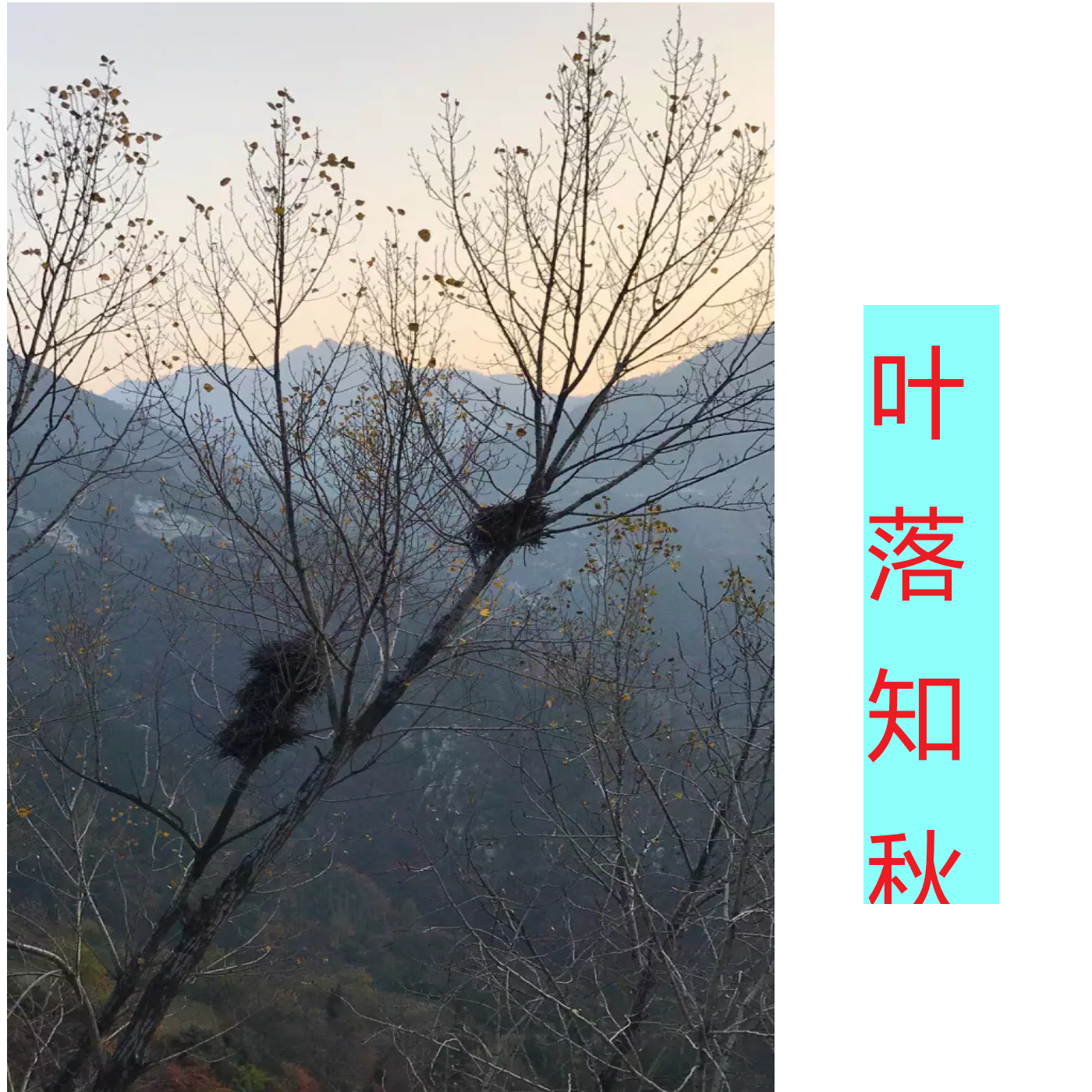 Float-Live in the Mountain by Er Dong (借山而居)