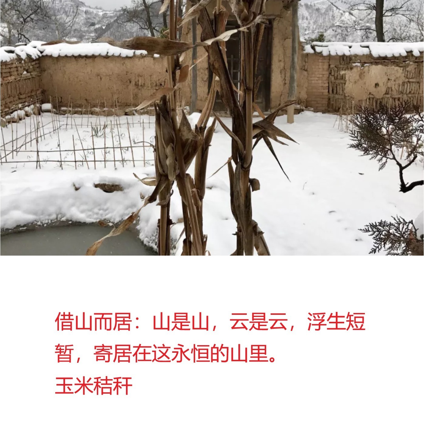 Watch neighbor\'s flowers in nun\'s clothes 穿着道袍去赏花