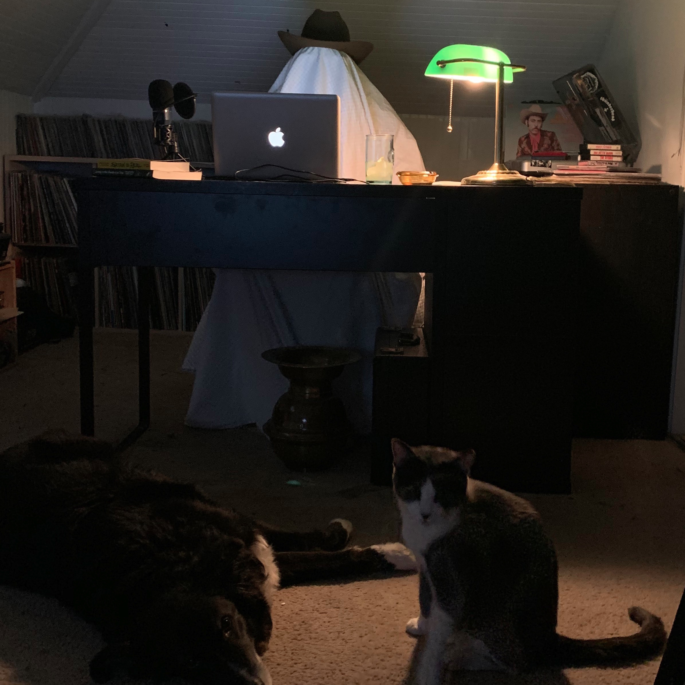 Noises In The Attic