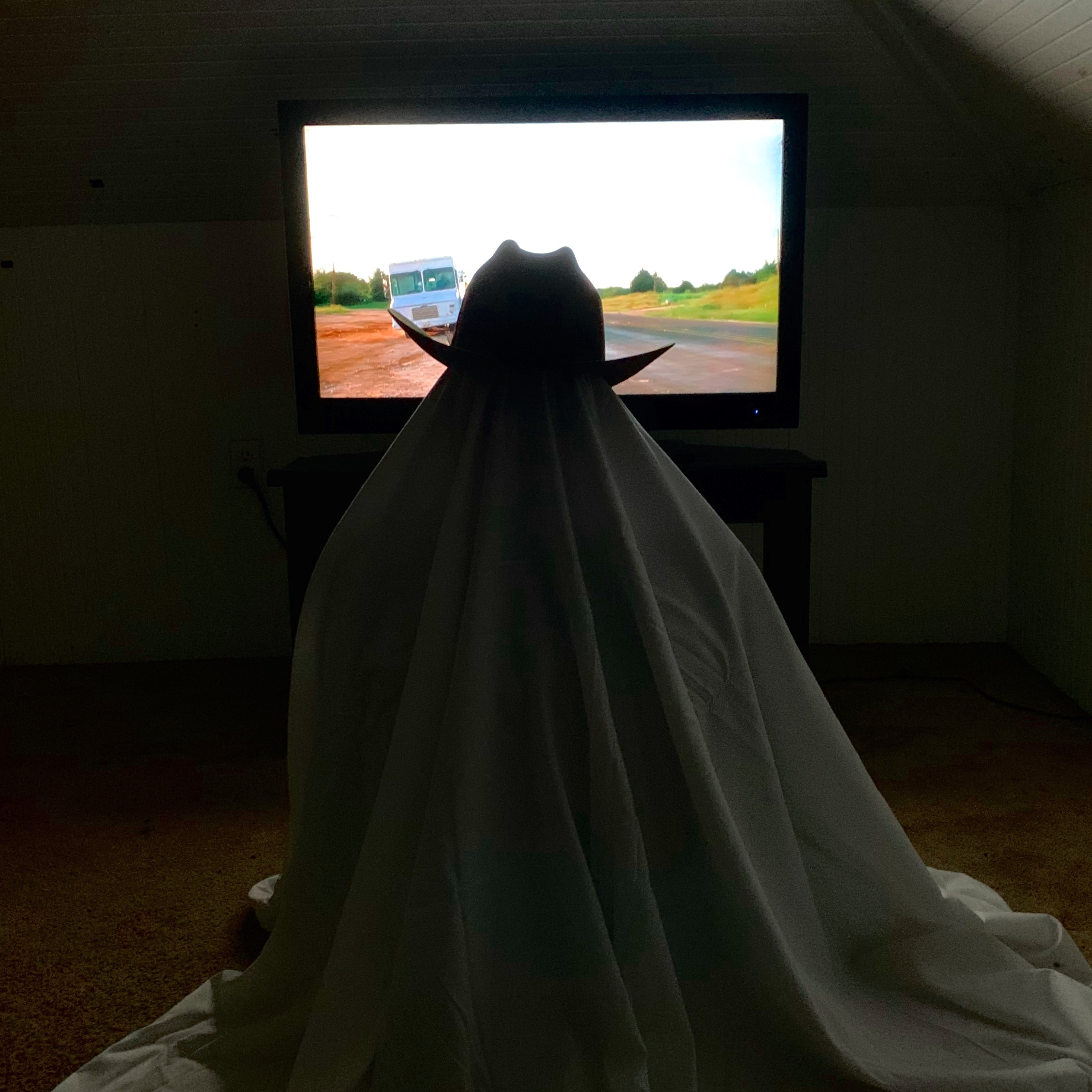 Noises In The Attic