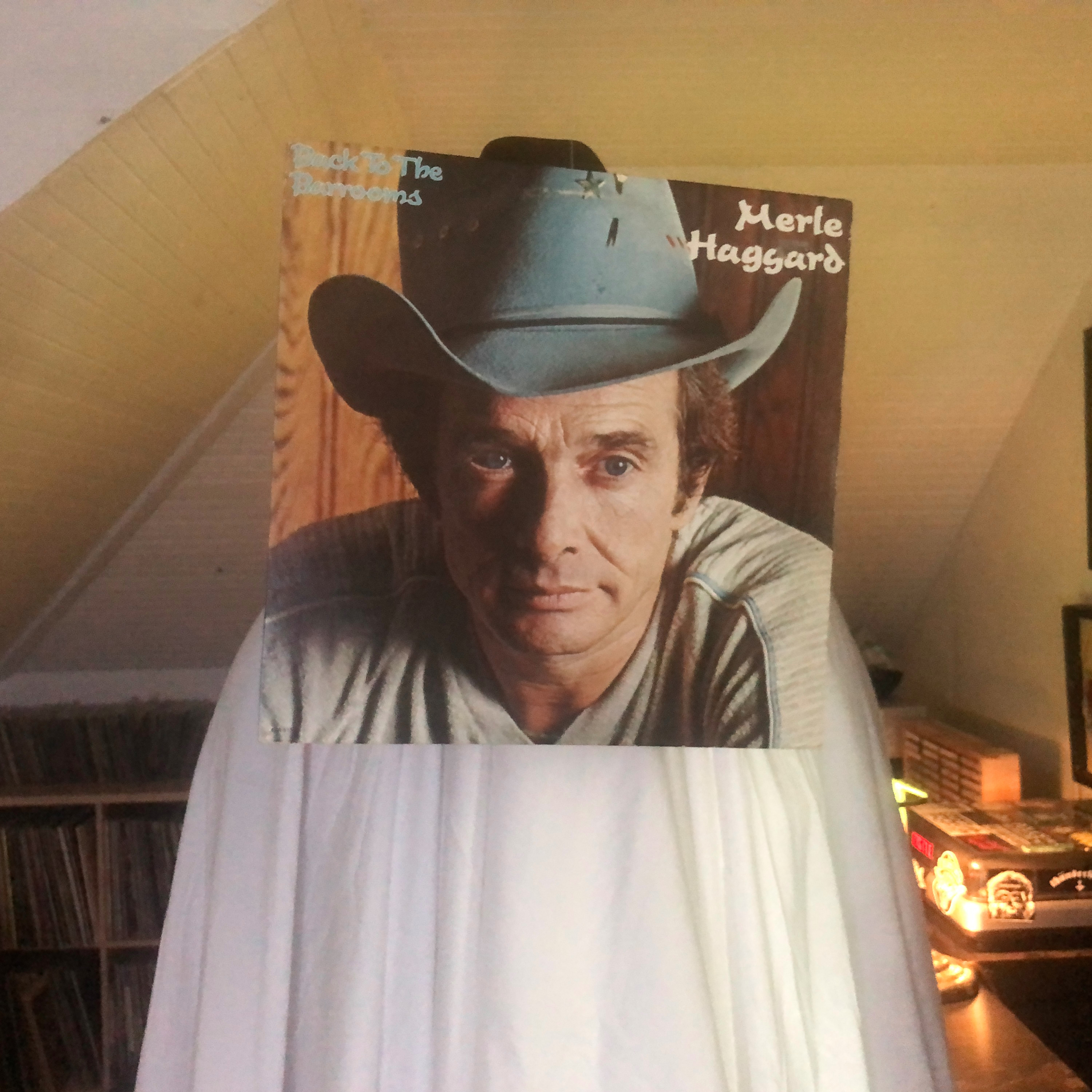 Noises In The Attic