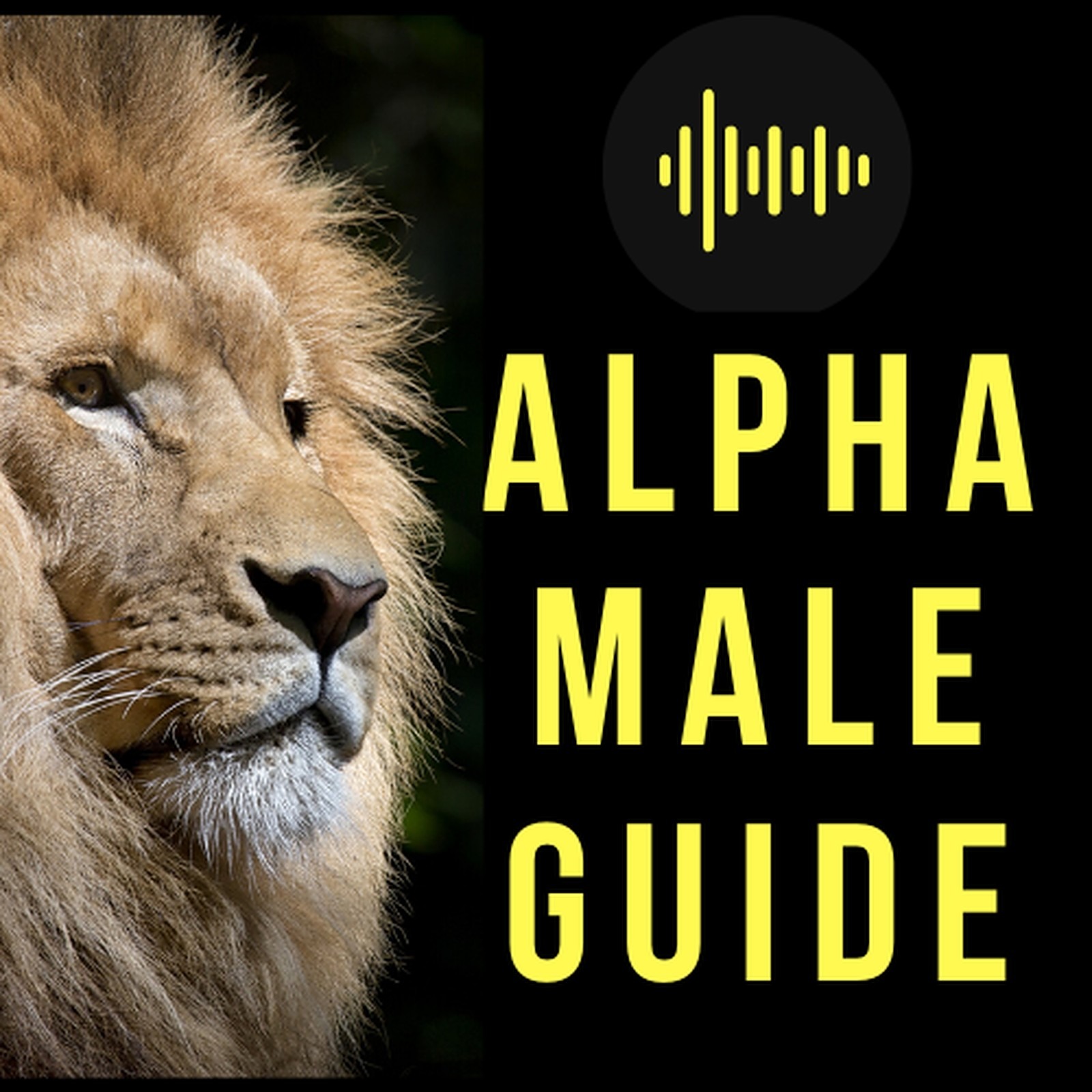 Audio Player Image