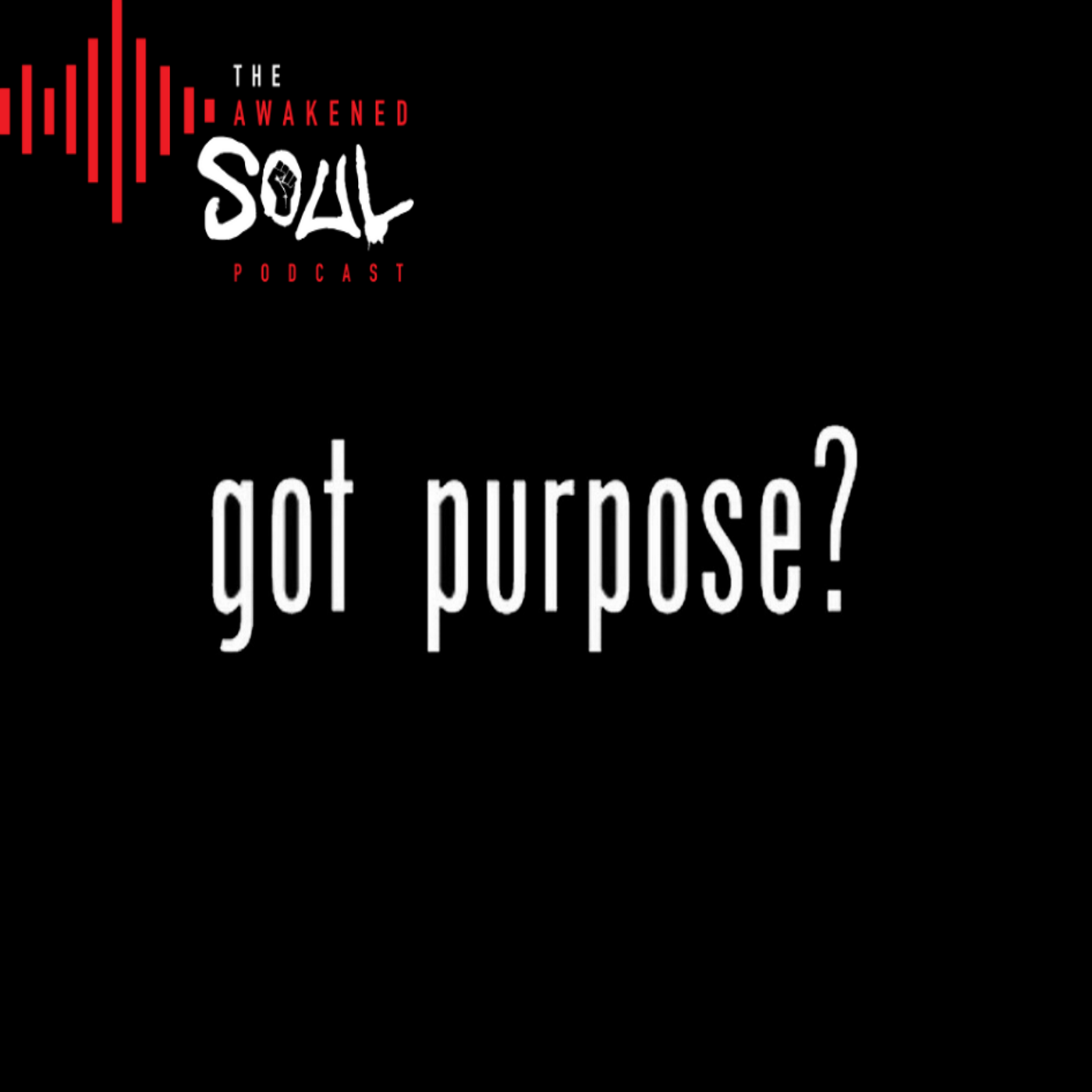 The Awakened Soul Episode 72: The Purpose episode artwork
