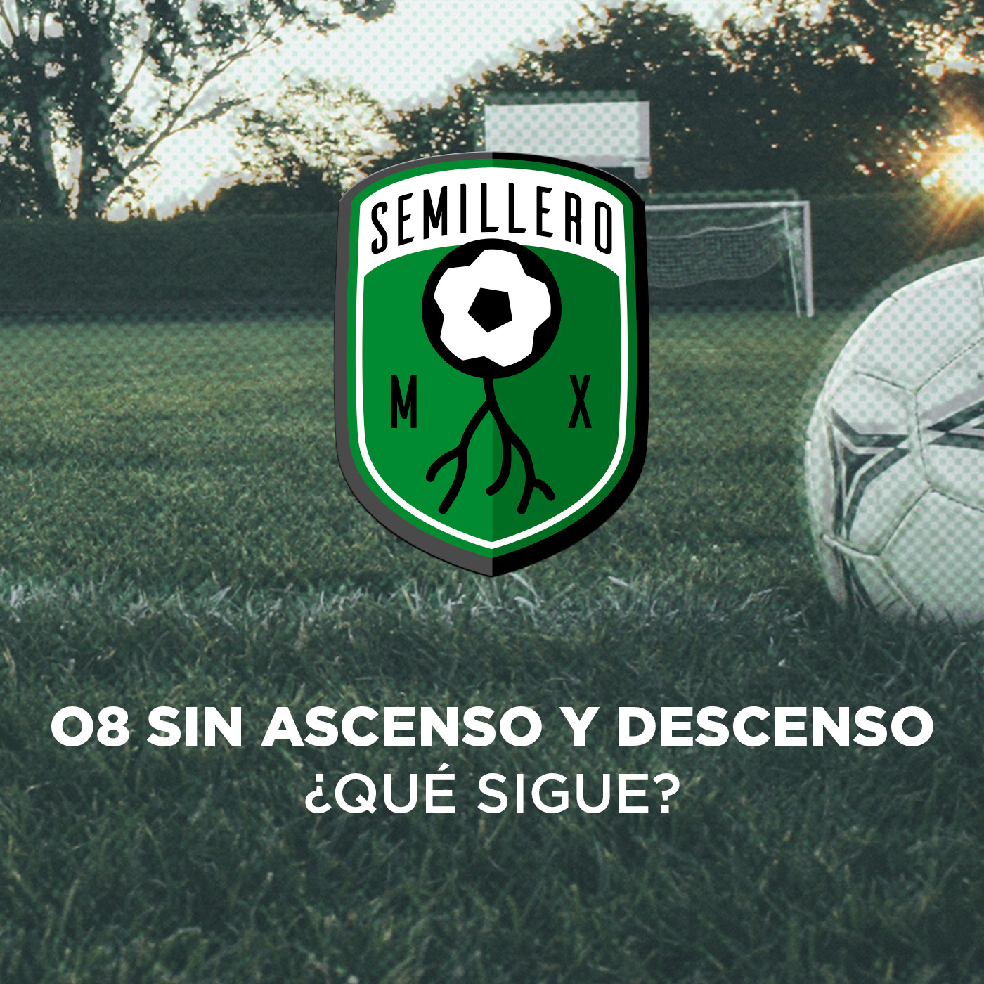 08 Sin Ascenso y Descenso ¿Qué sigue? episode artwork