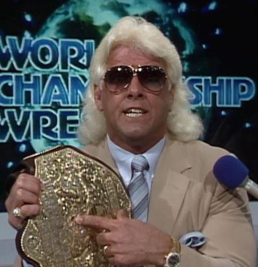 NWA Sat Night on TBS June 20, 1987 and Part 2 with PW Torch's Bruce Mitchell episode artwork