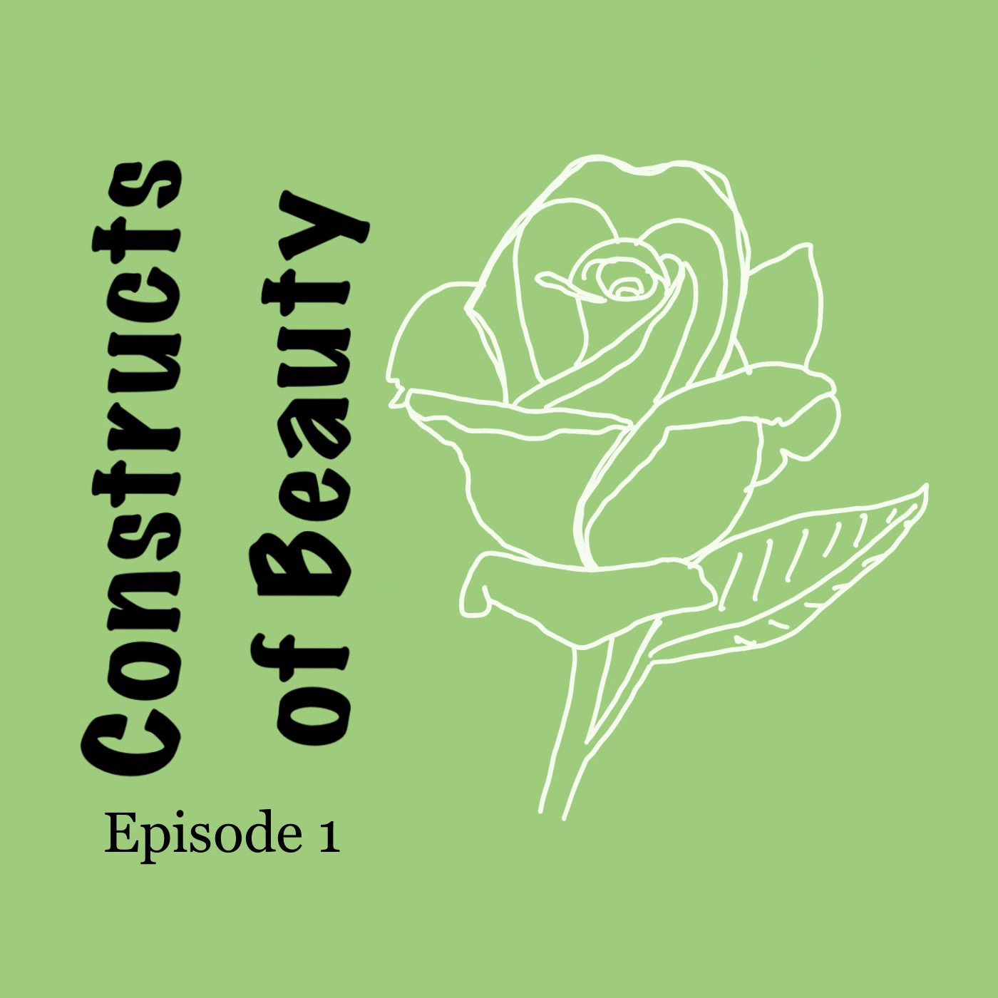 Constructs of Beauty