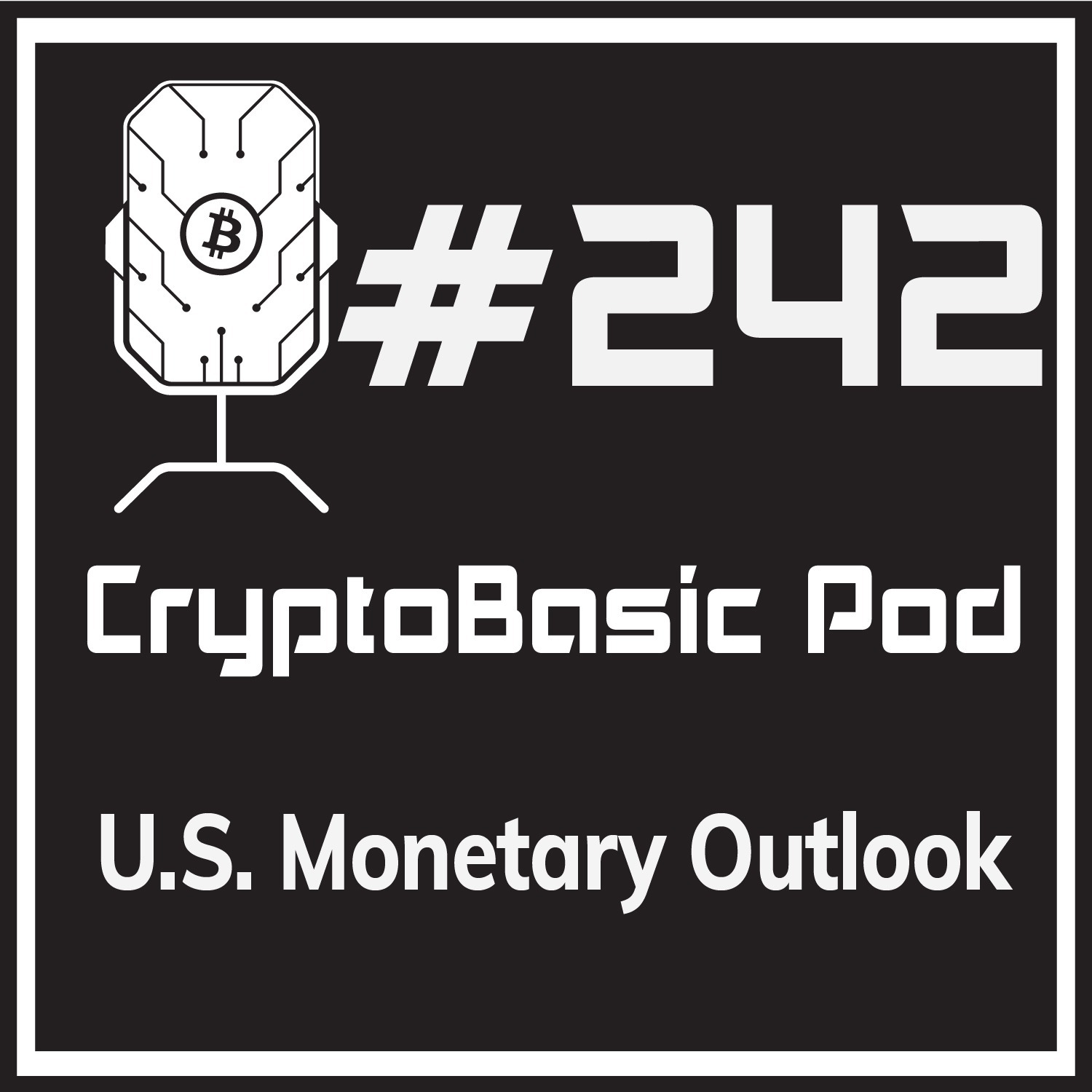 Episode 242 - US Monetary Outlook