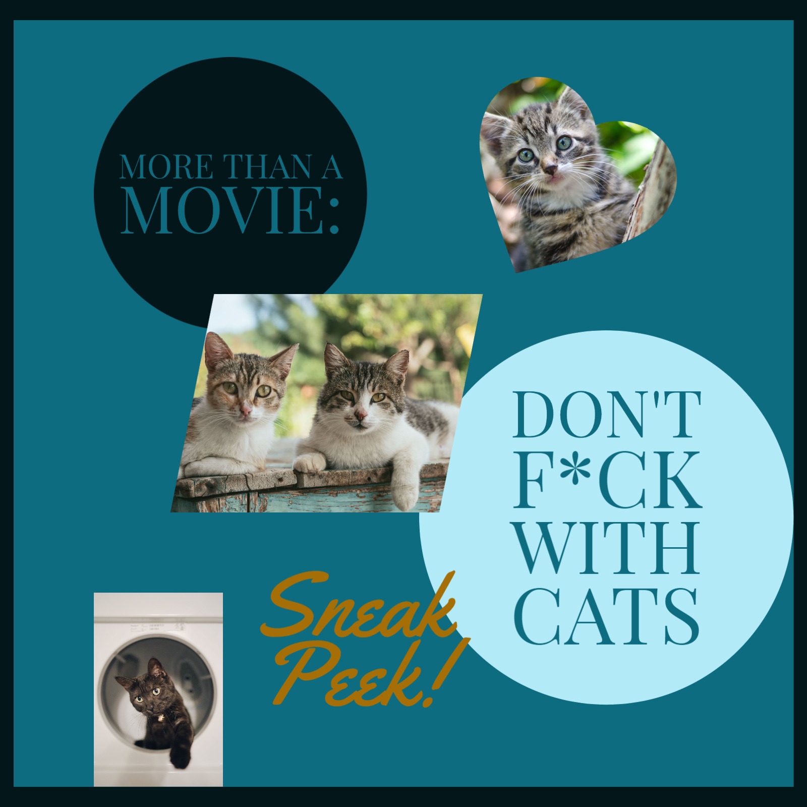Sneak Peek! Don't F*ck With Cats episode artwork