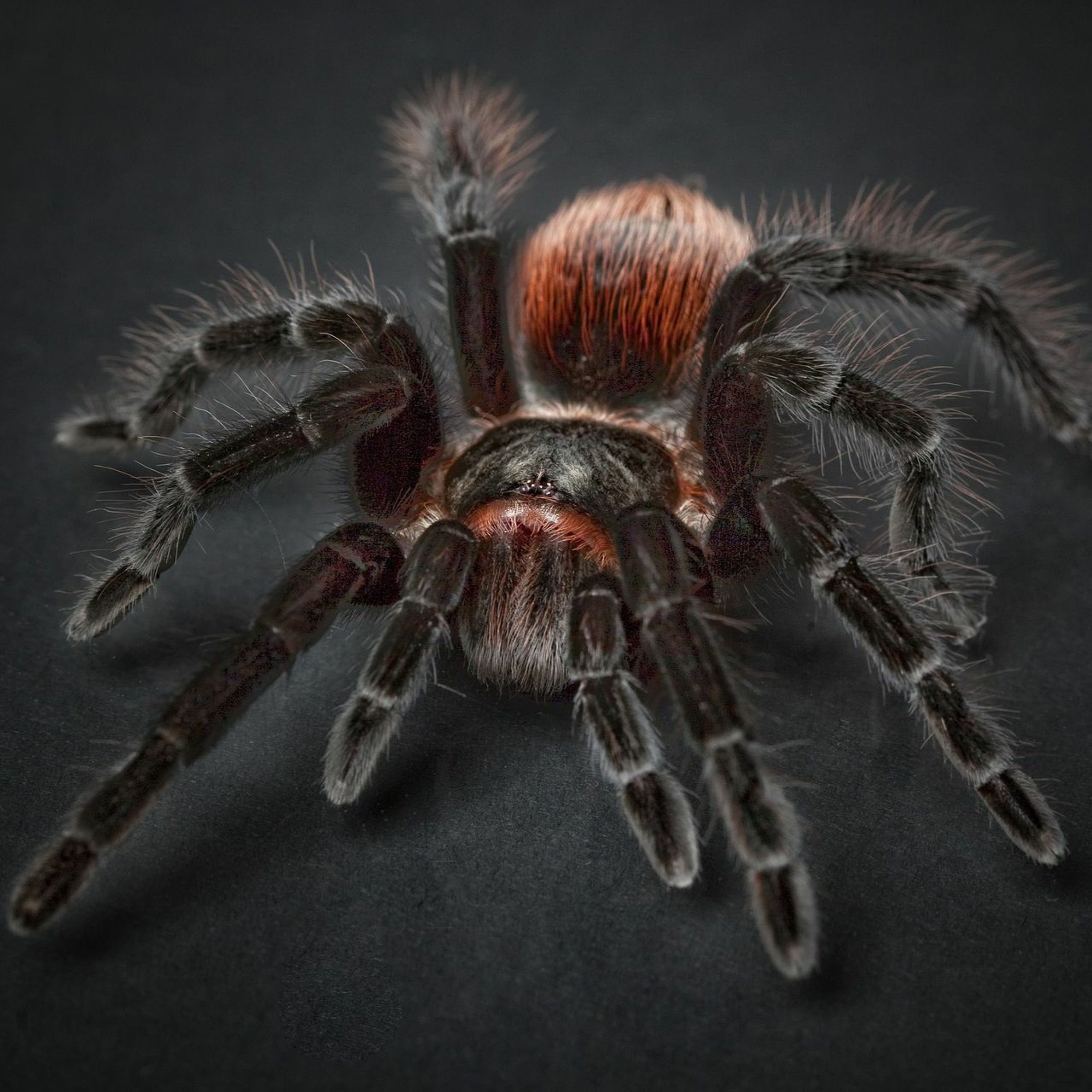 Stories Fables Ghostly Tales