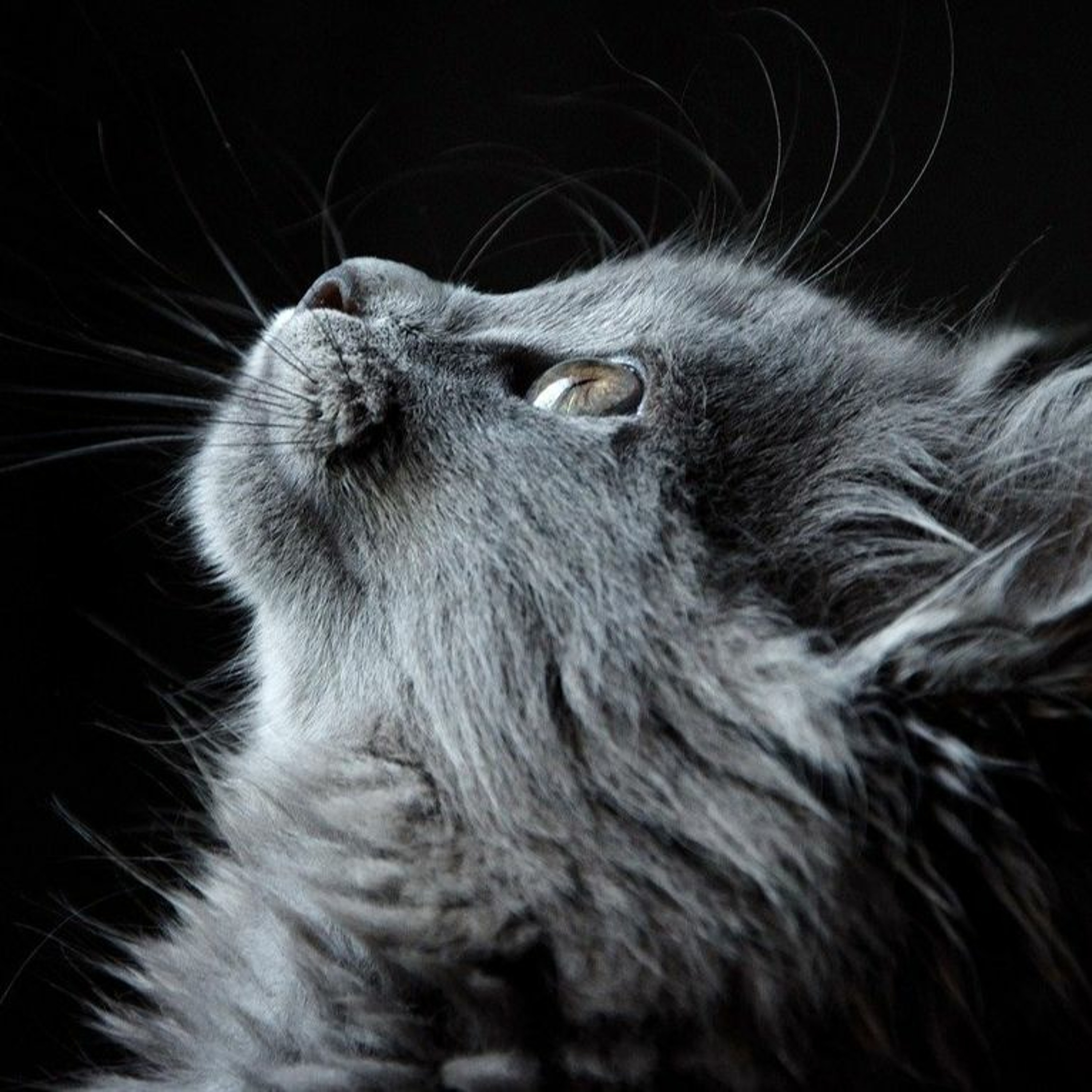 Stories Fables Ghostly Tales