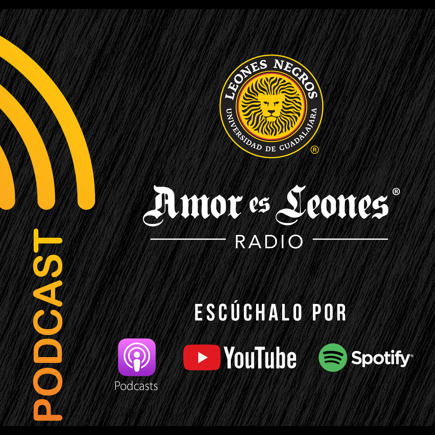 ¿Quién para la portería de Leones Negros? episode artwork