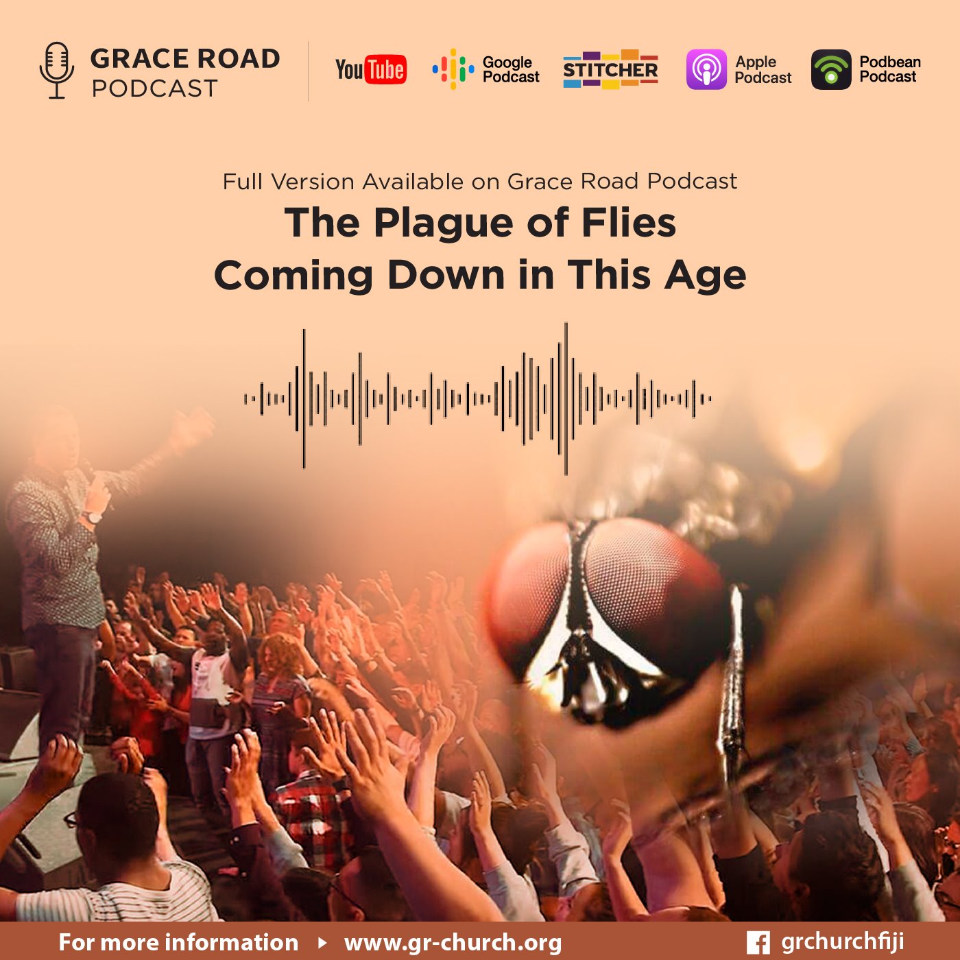 [Trailer] The Plague of Flies Coming Down in This Age