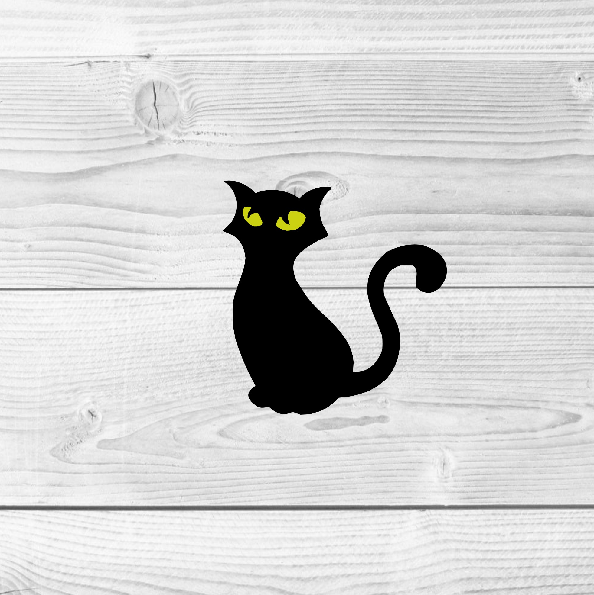 Is It Offensive to Call Millennial Cat a Pussy?