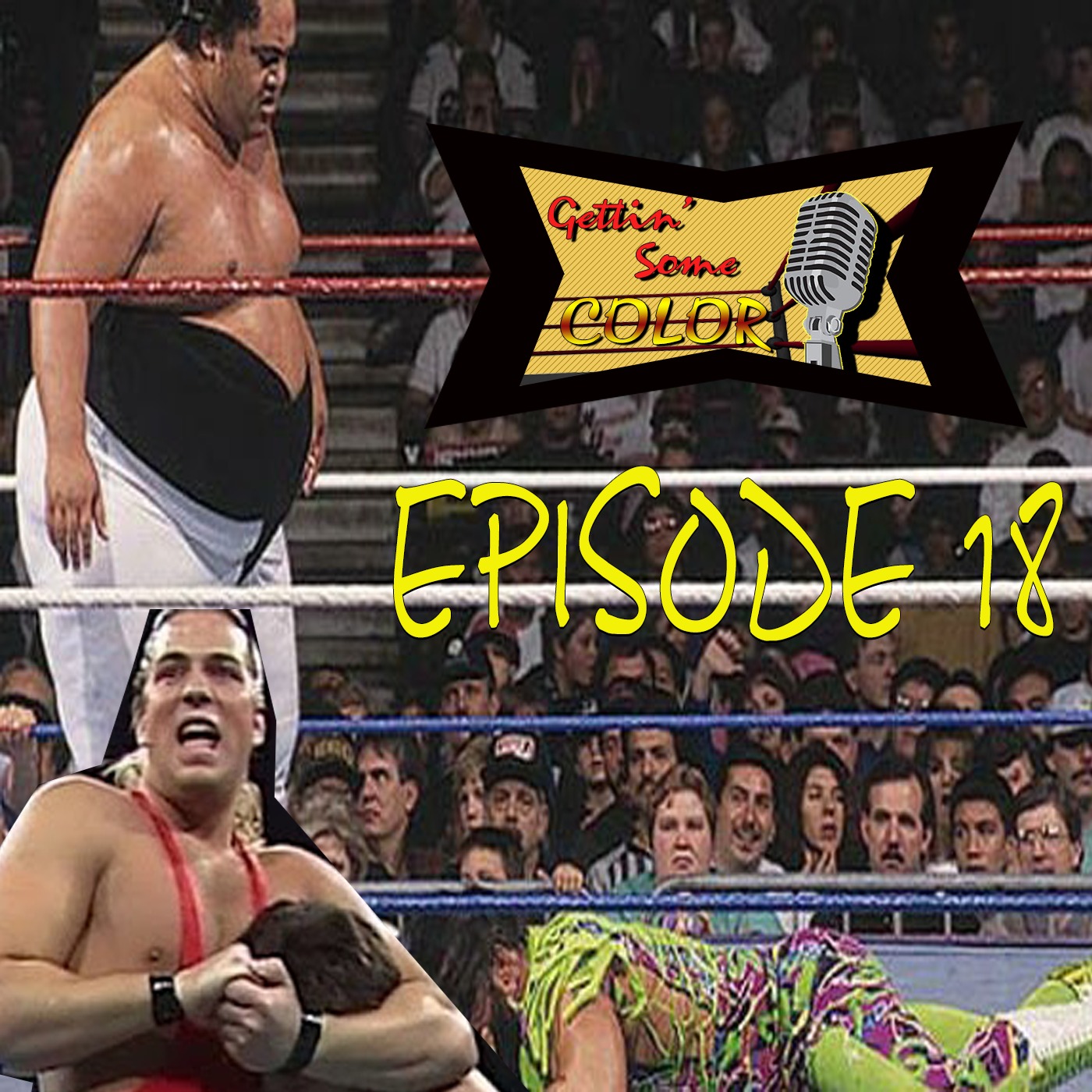 WCW SATURDAY NIGHT JAN 23rd 1993/ ROYAL RUMBLE 1993 (Gettin' Some Color Epi.18) episode artwork