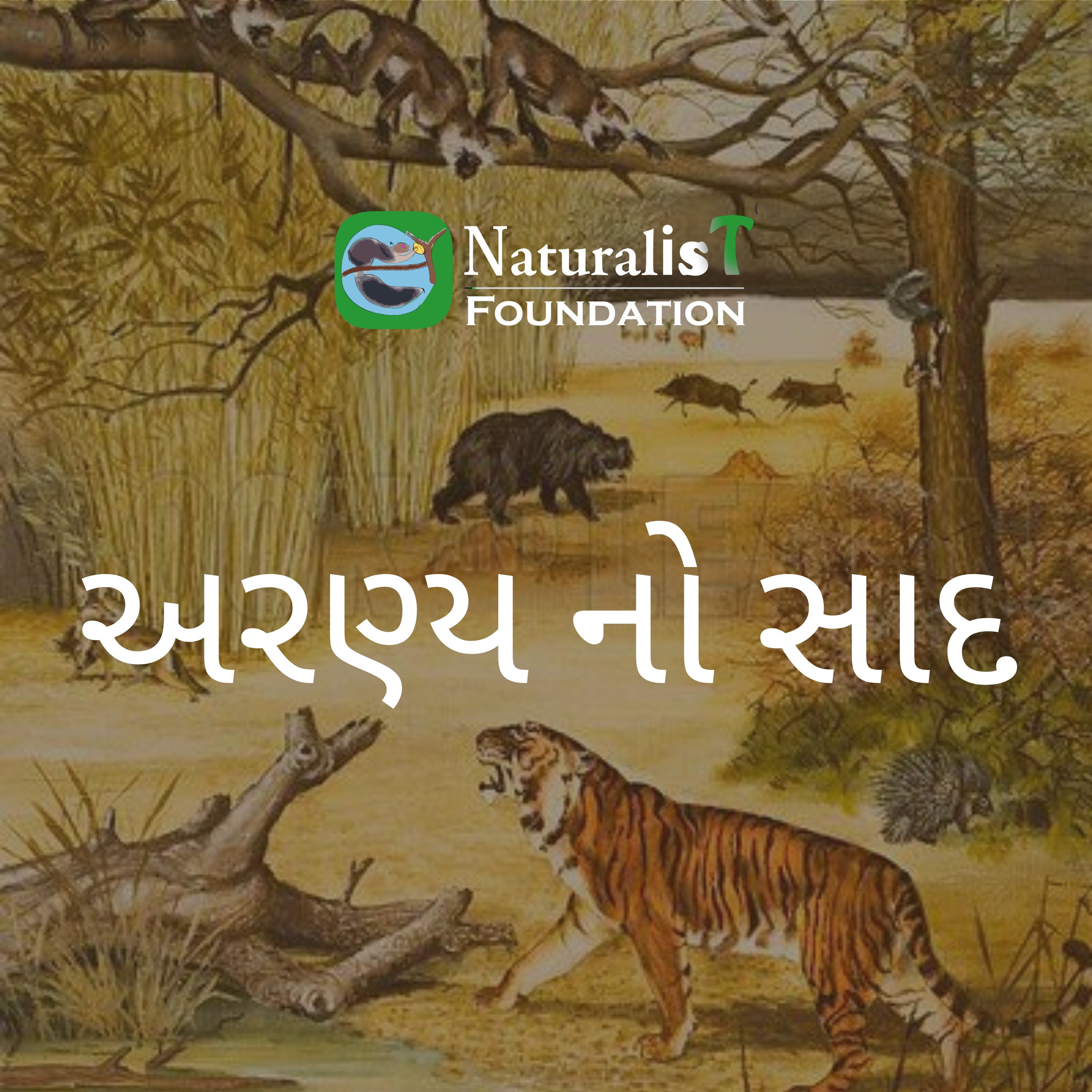 S1E12:  આરે  ના વન સંગ્રહાલય •  લક્ષ્વદીપ માંથી મળેલ જળચર પ્રાણી •  કાયદેસર થનારું ખાણકામ
