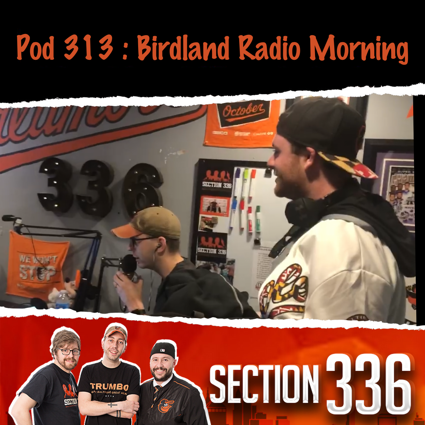 Pod 313 : Birdland Radio Morning episode artwork