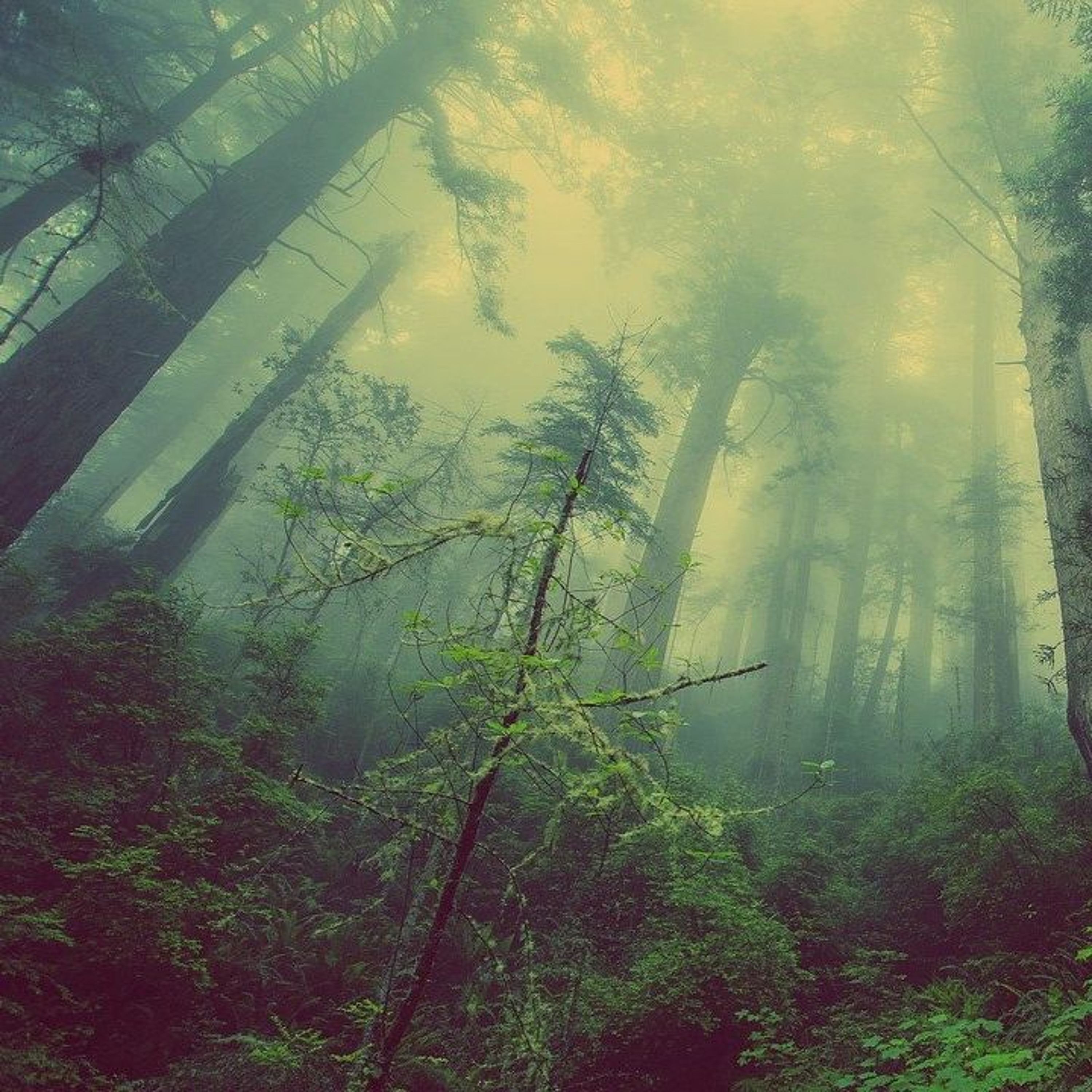 Stories Fables Ghostly Tales