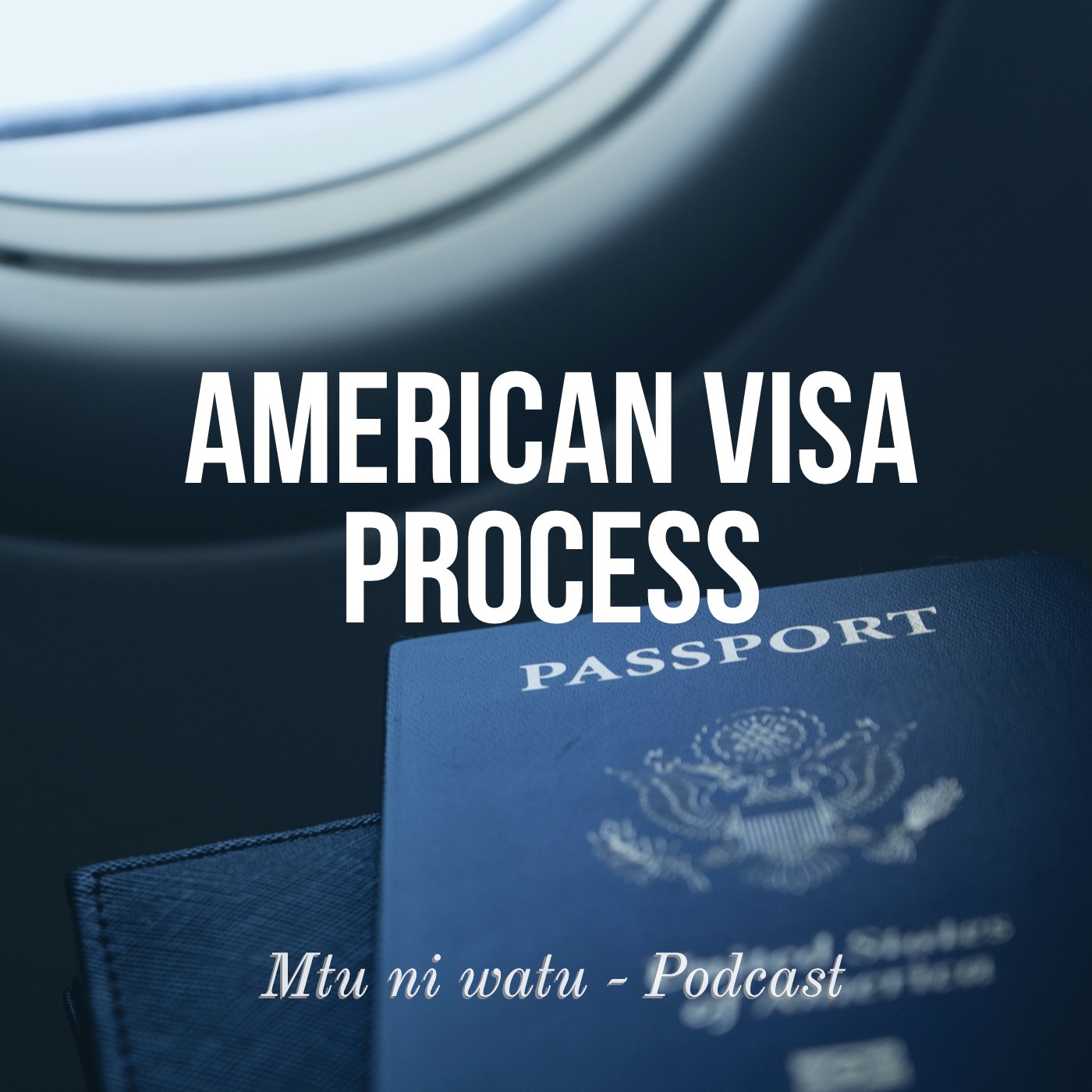 American Visa Process episode artwork