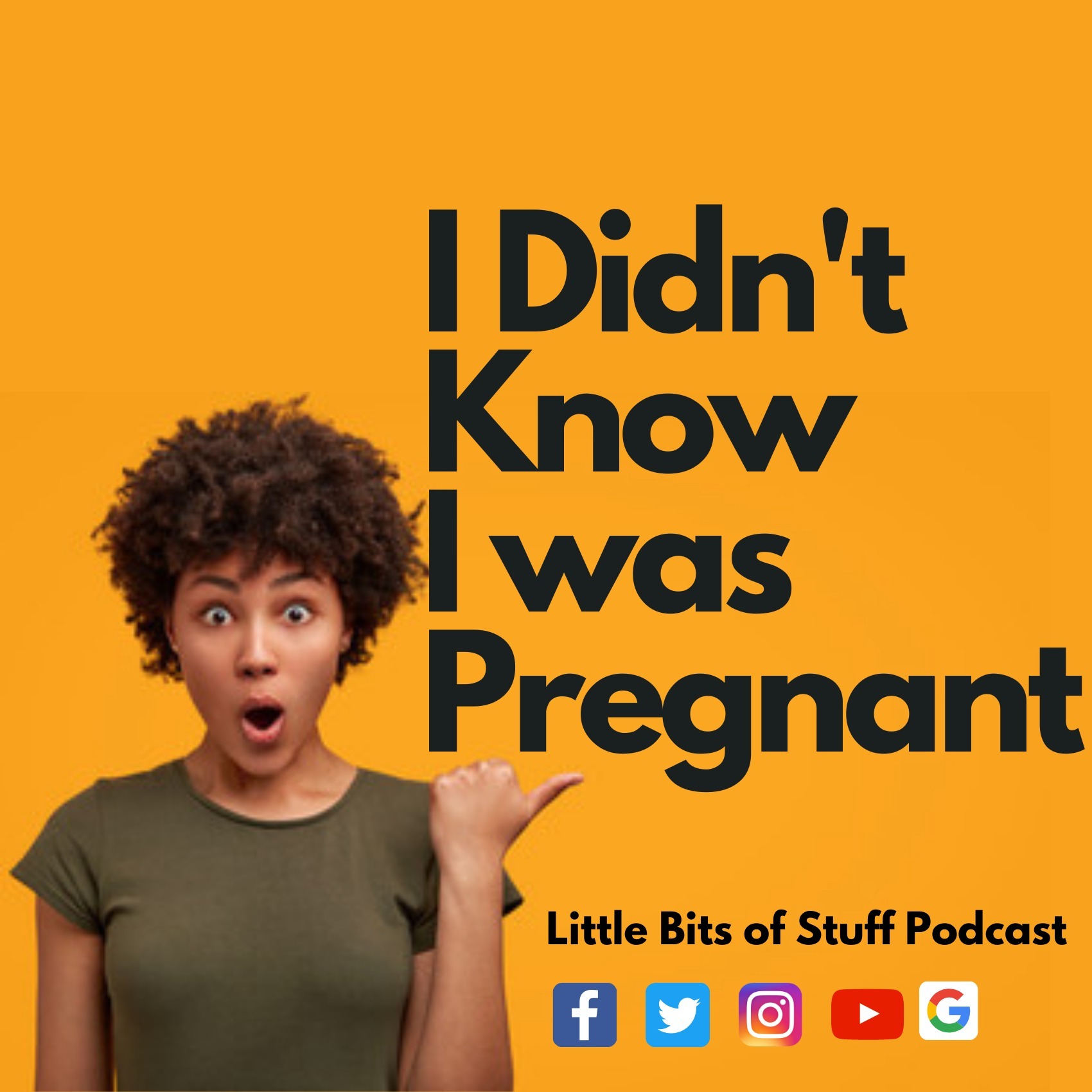 I Didn't Know I Was Pregnant episode artwork