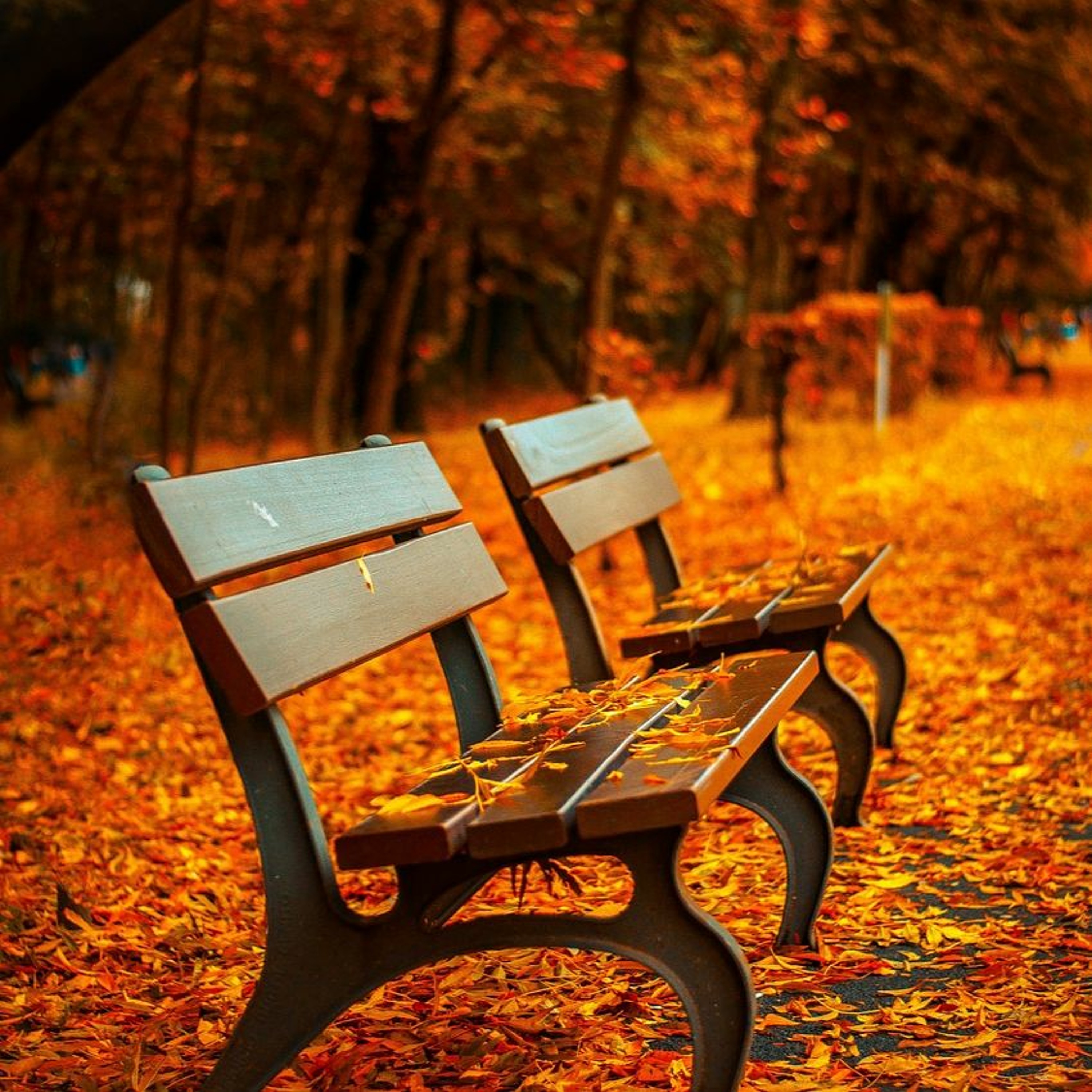 Stories Fables Ghostly Tales