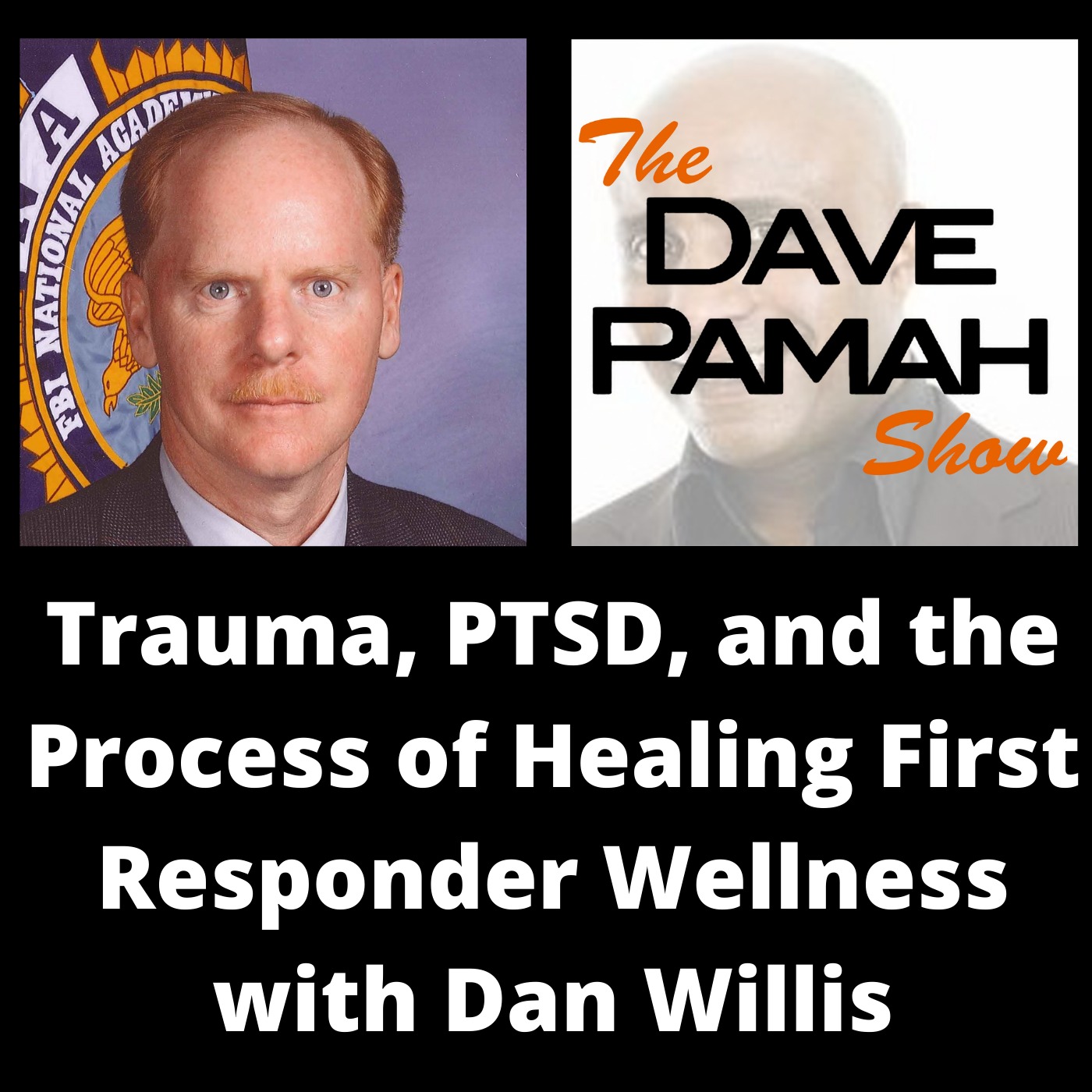 Trauma, PTSD, and the Process of Healing First Responder Wellness with Dan Willis