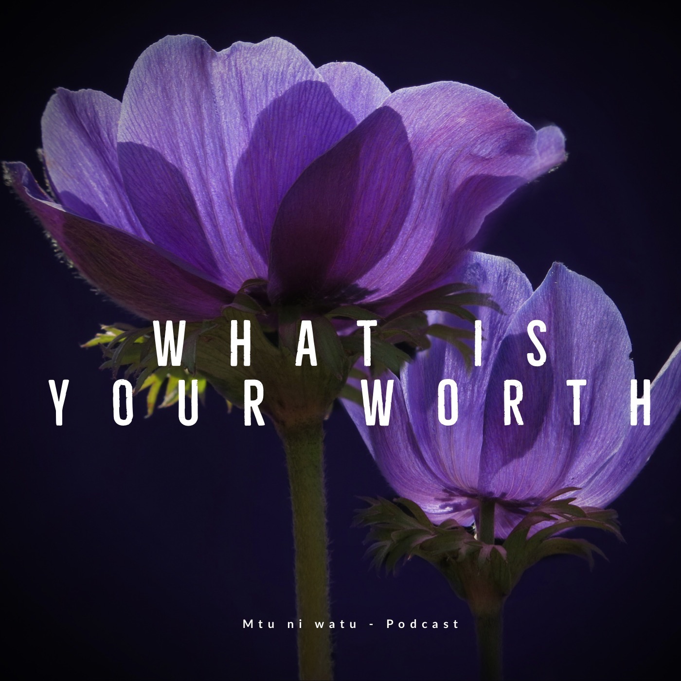 What is your worth episode artwork