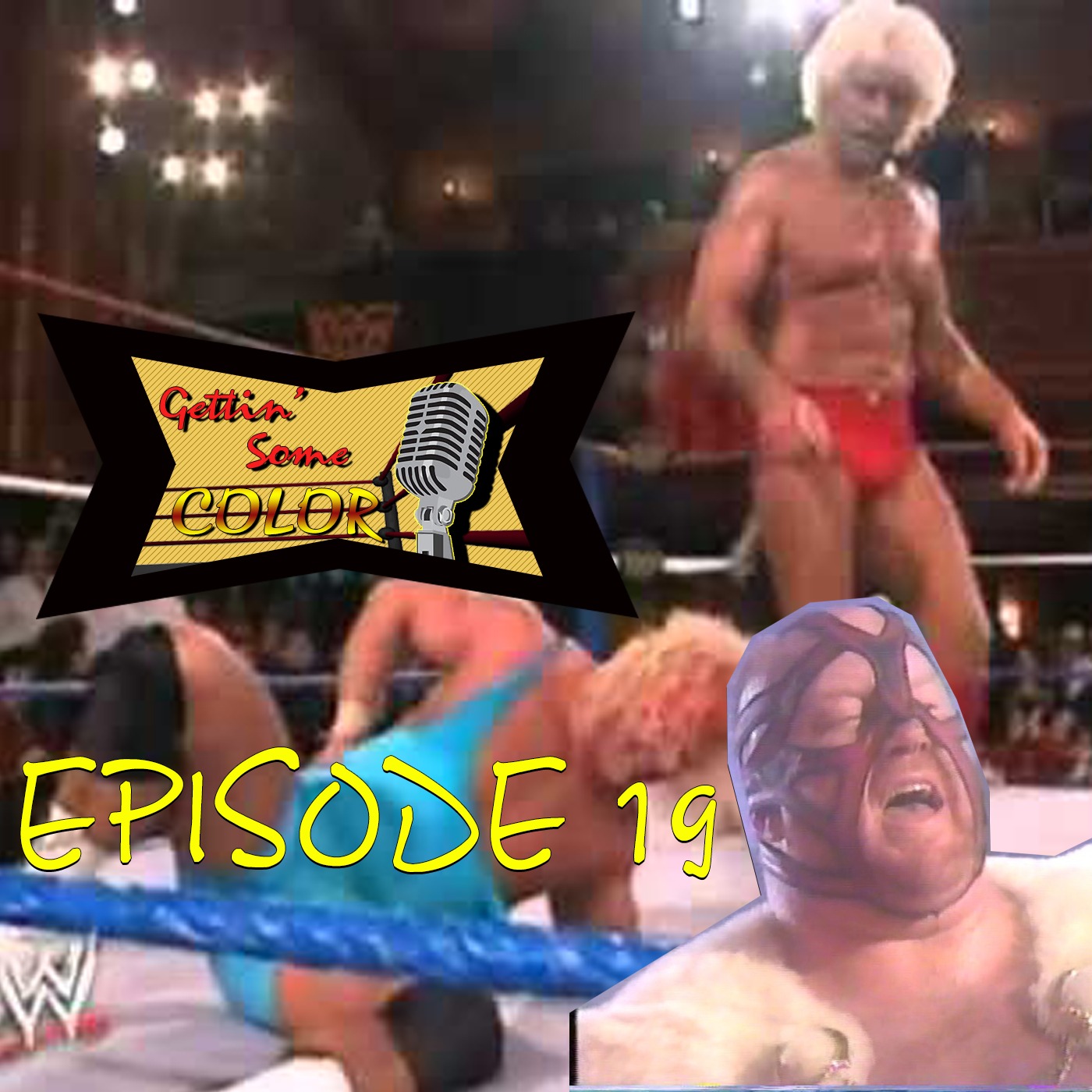 WWF RAW JAN 25th 1993/ WCW SATURDAY NIGHT JAN 30th 1993 (Gettin' Some Color Epi.19) episode artwork