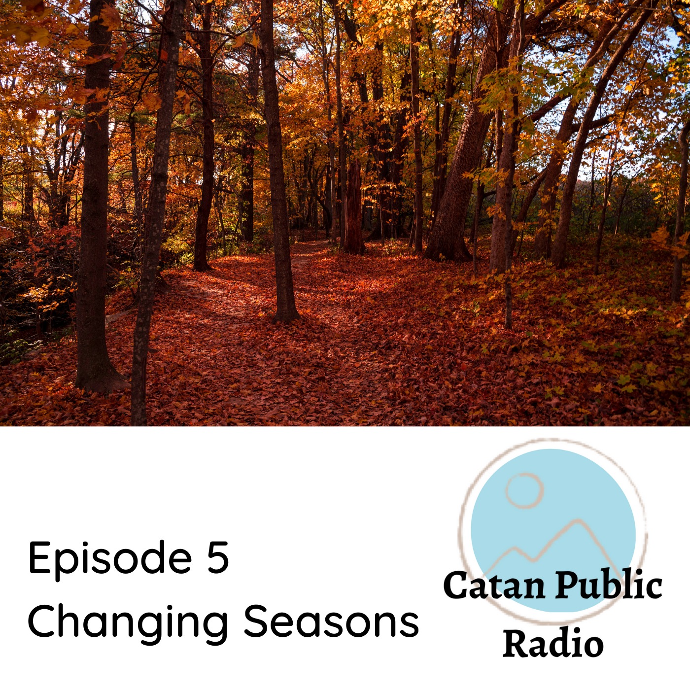 Catan Public Radio