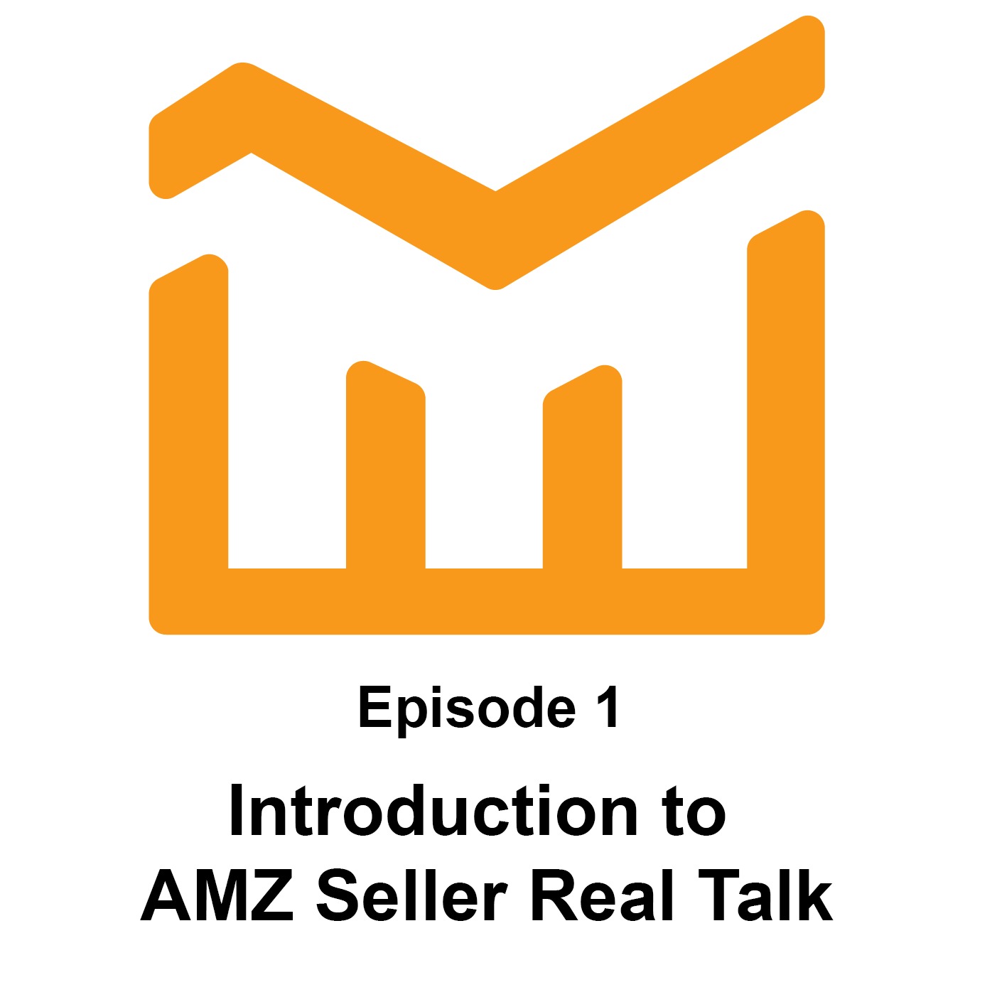 AMZ Seller Real Talk
