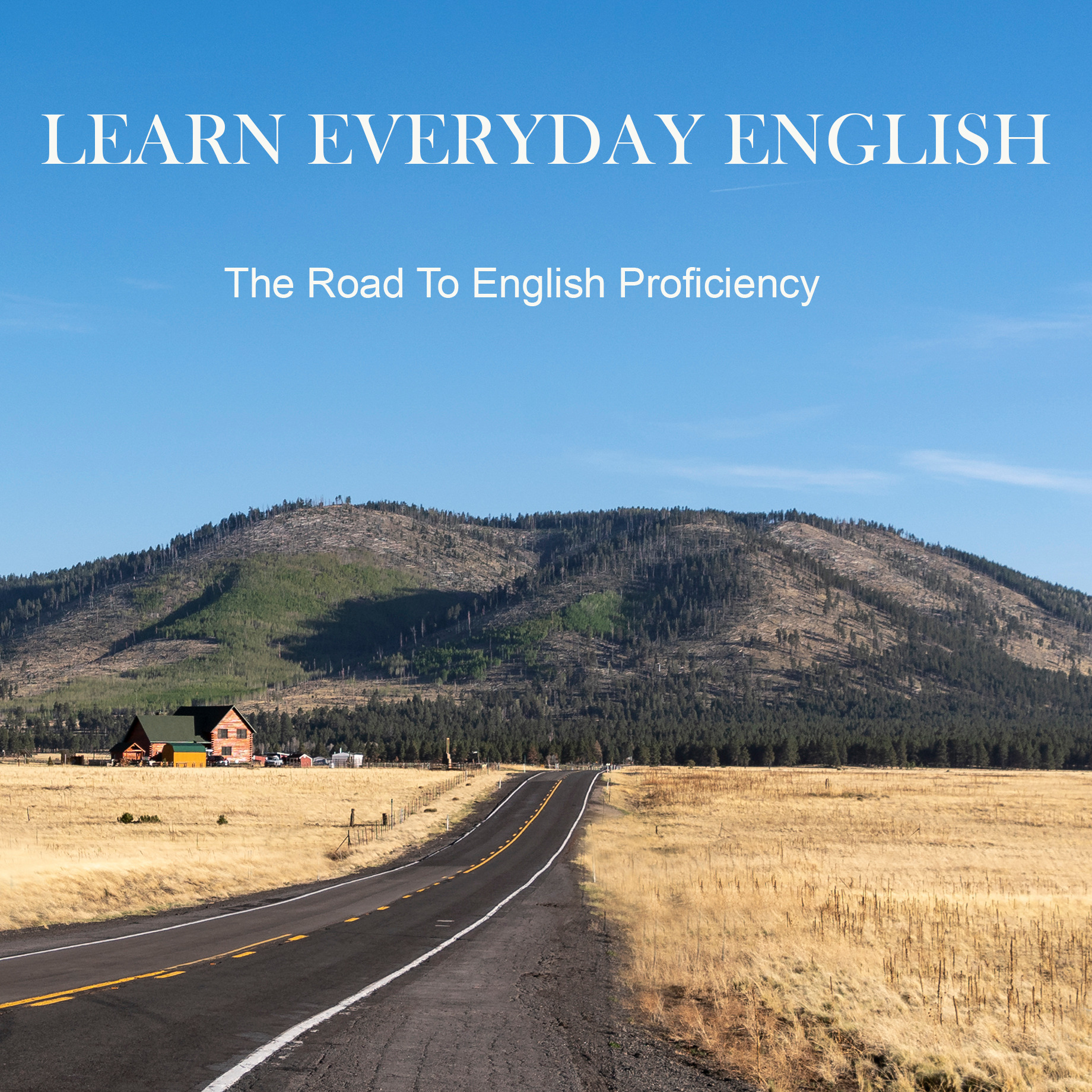 Episode 36 - The Eleven (11) Things English Language Learners Find The Most Difficult When Learning English