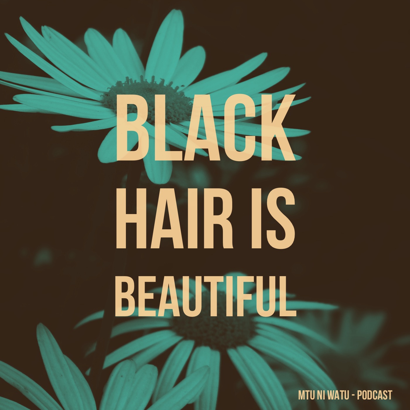 Black Hair is Beautiful episode artwork