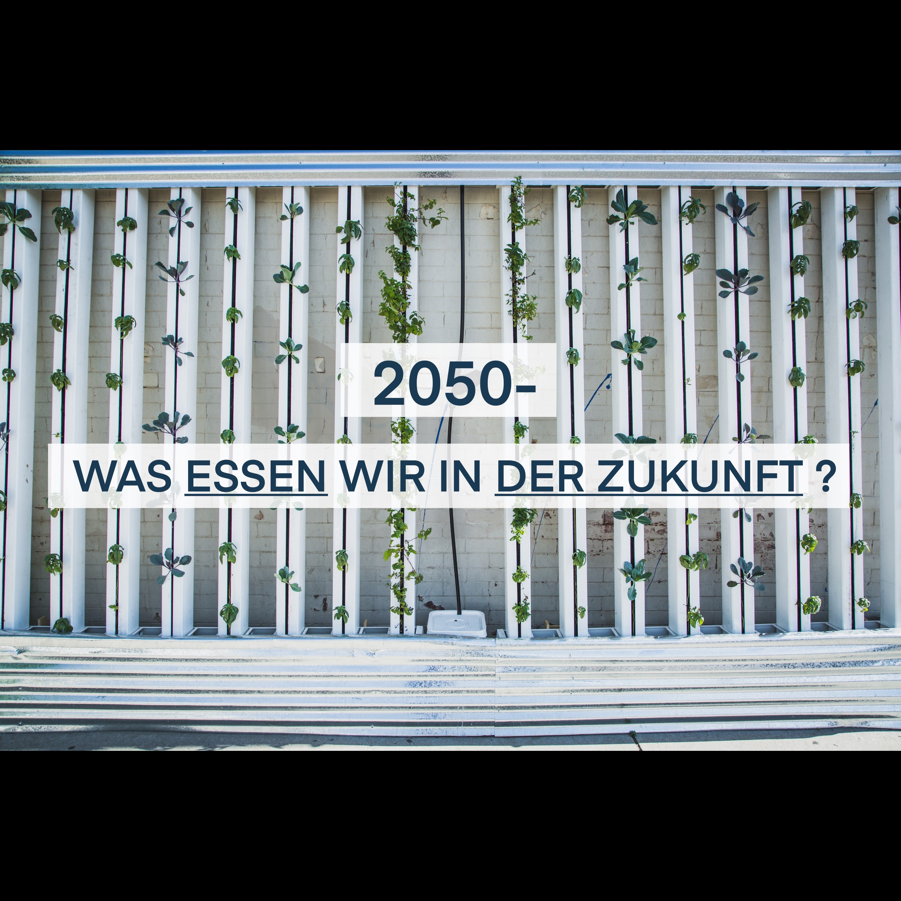 2050 – Was werden wir essen?
