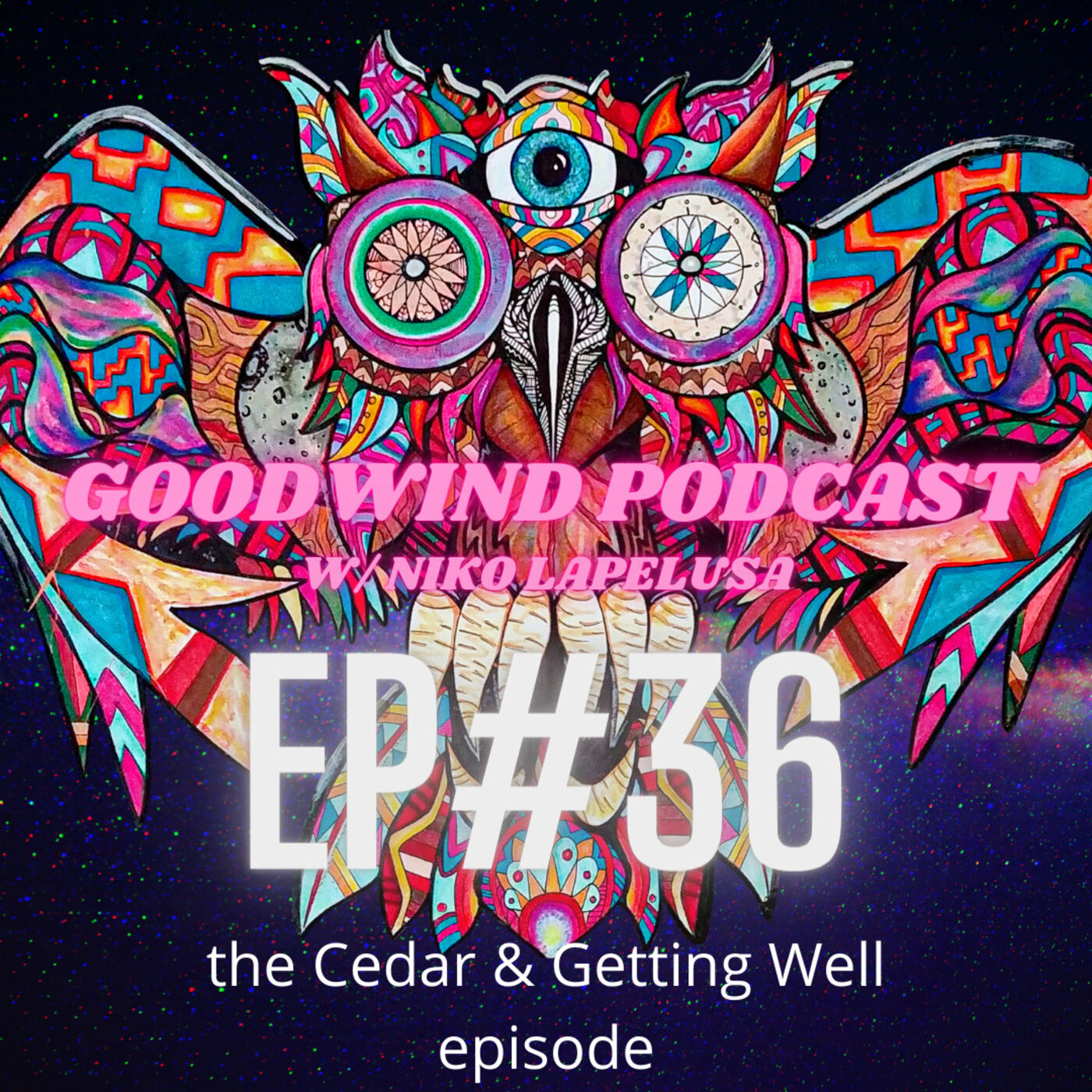 Goodwind Podcast w/ Niko LaPelusa