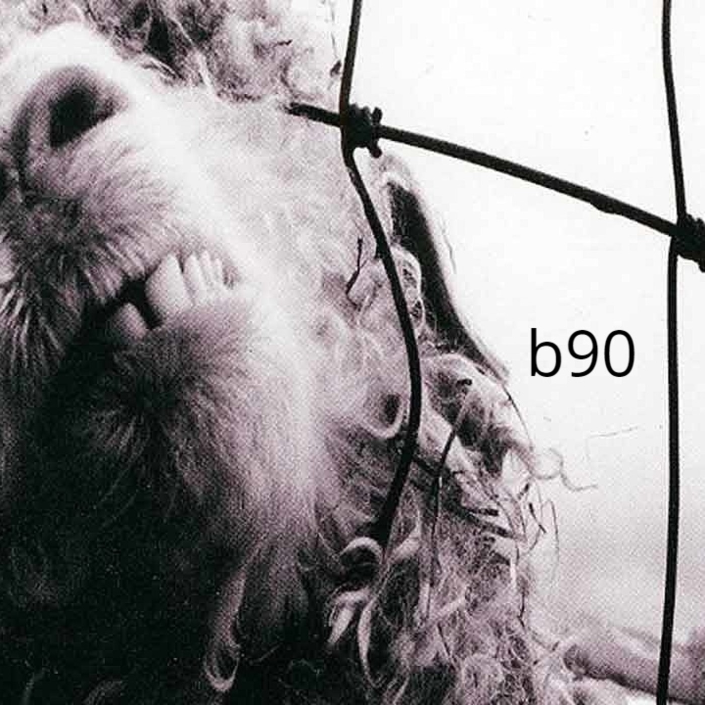 Bienvenido a los 90