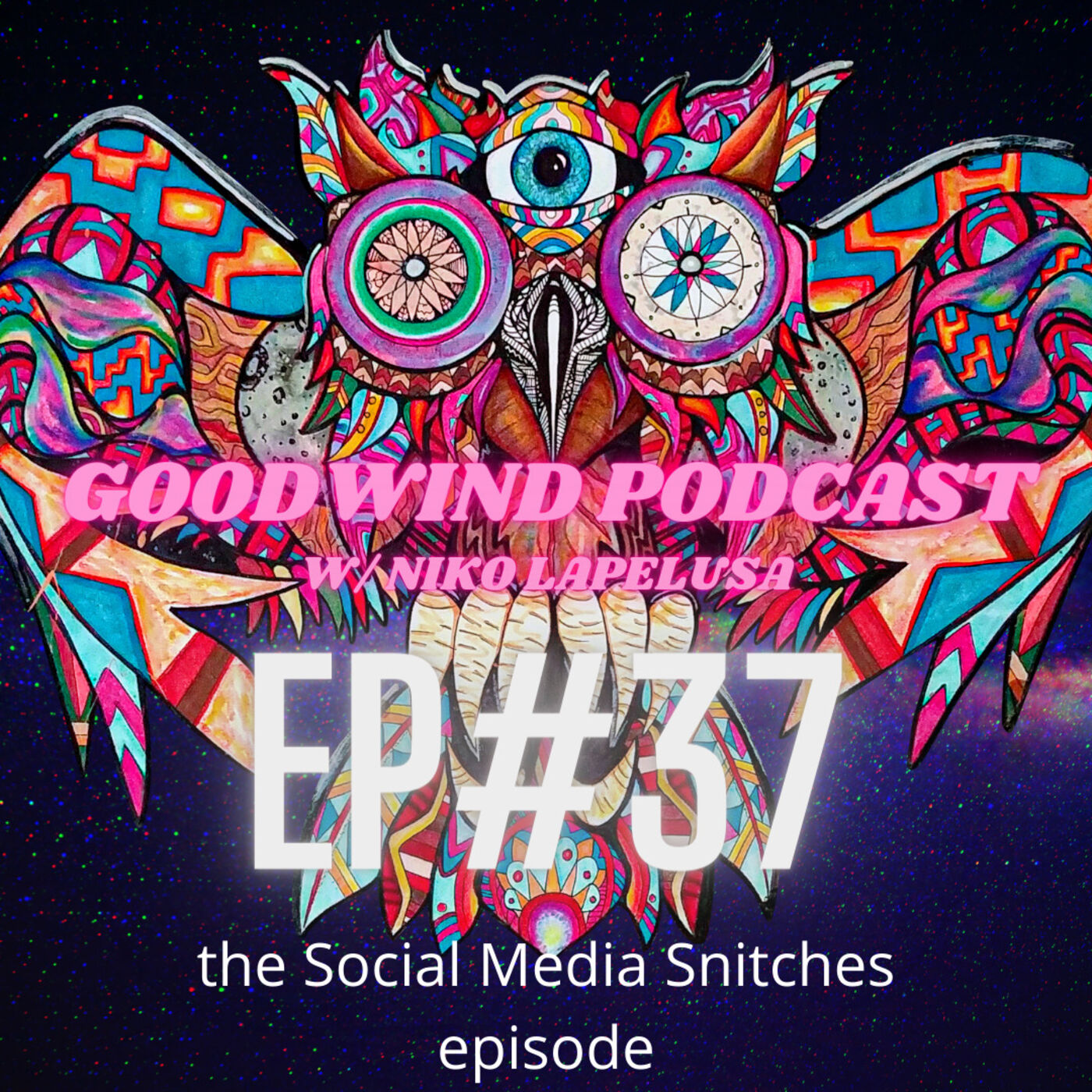 Goodwind Podcast w/ Niko LaPelusa