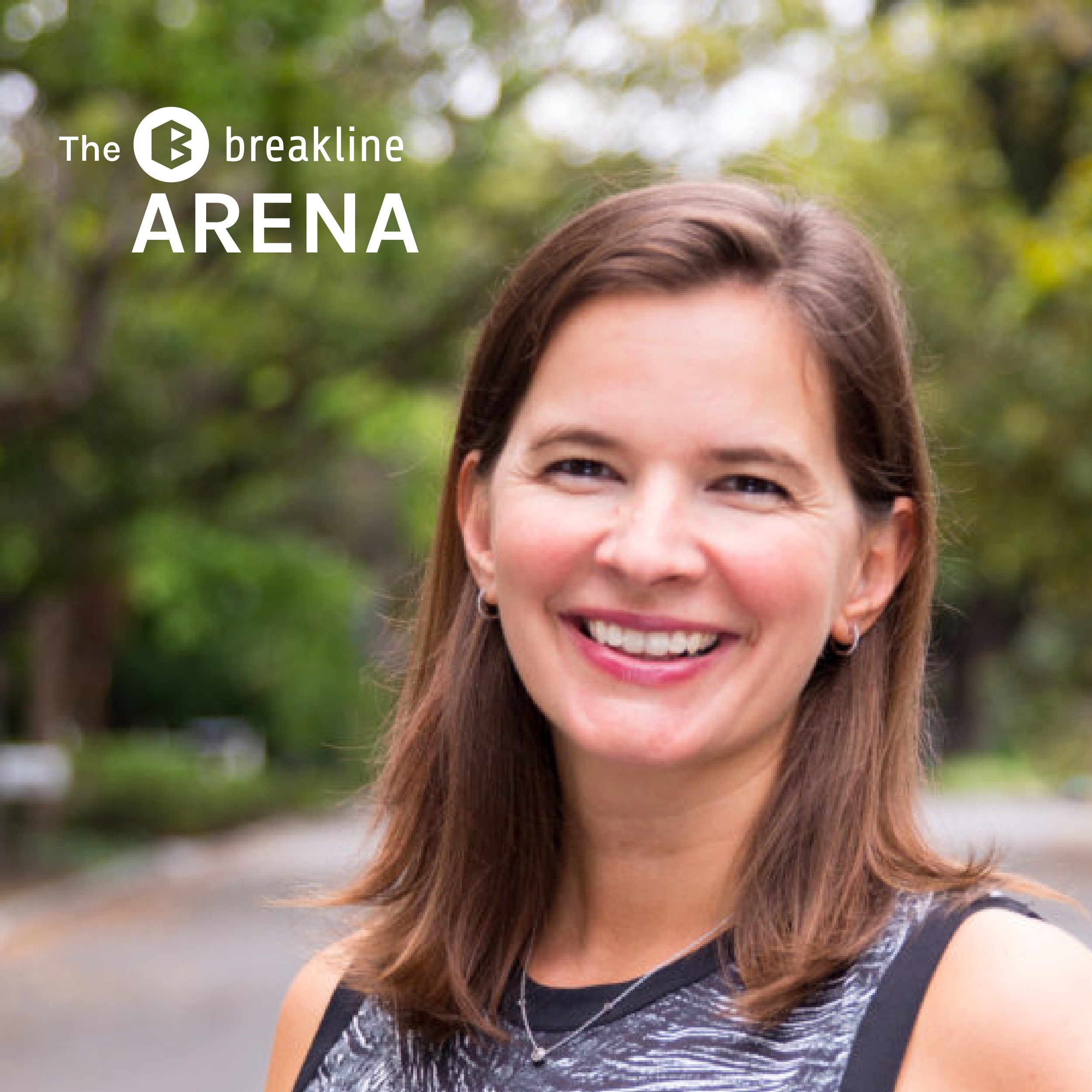 The BreakLine Arena