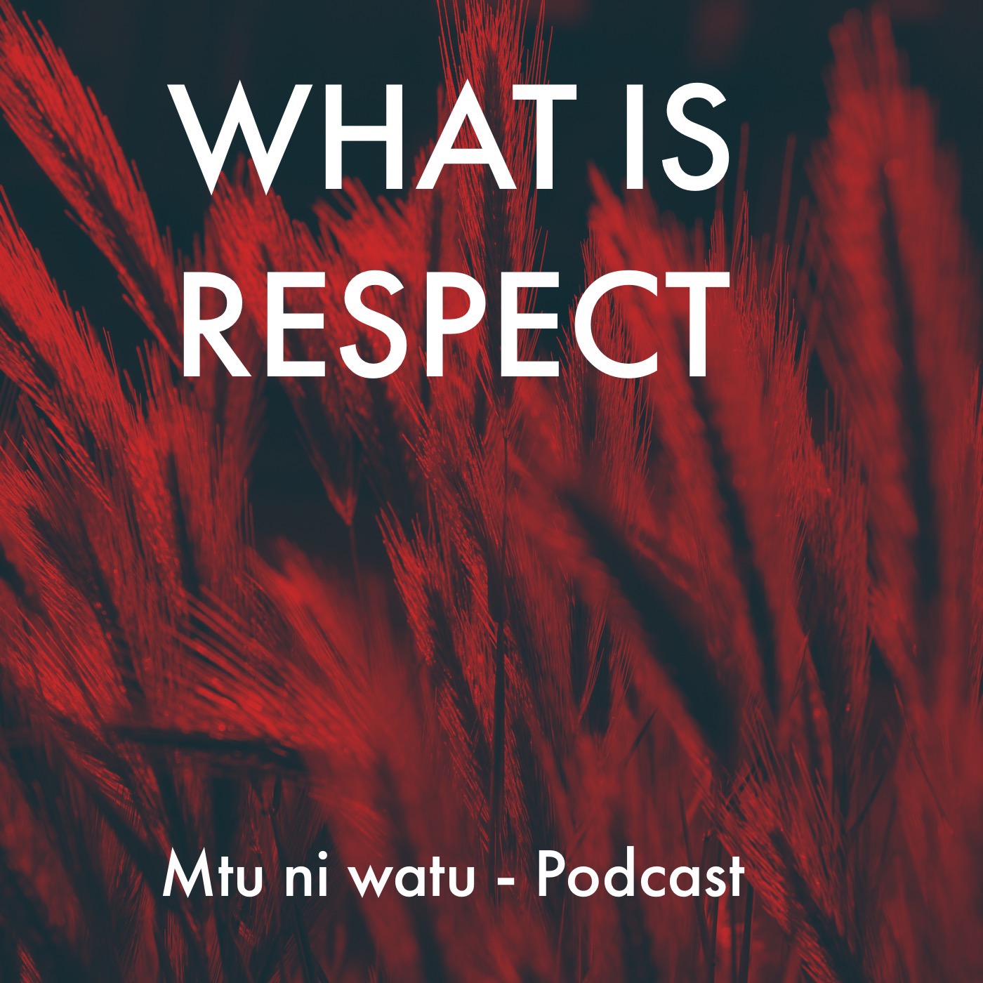 What is respect? episode artwork